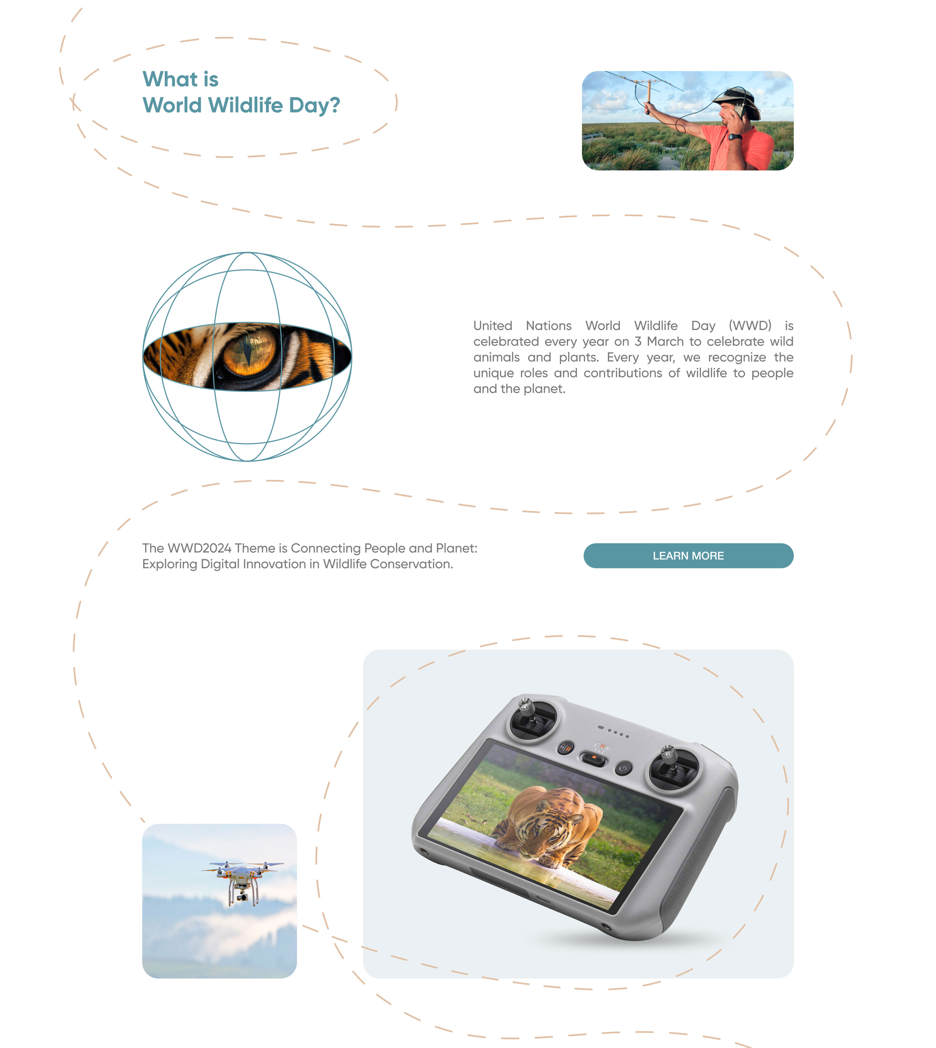 Redesign website WORLD WILDLIFE DAY 2024 — Изображение №8 — Интерфейсы на Dprofile