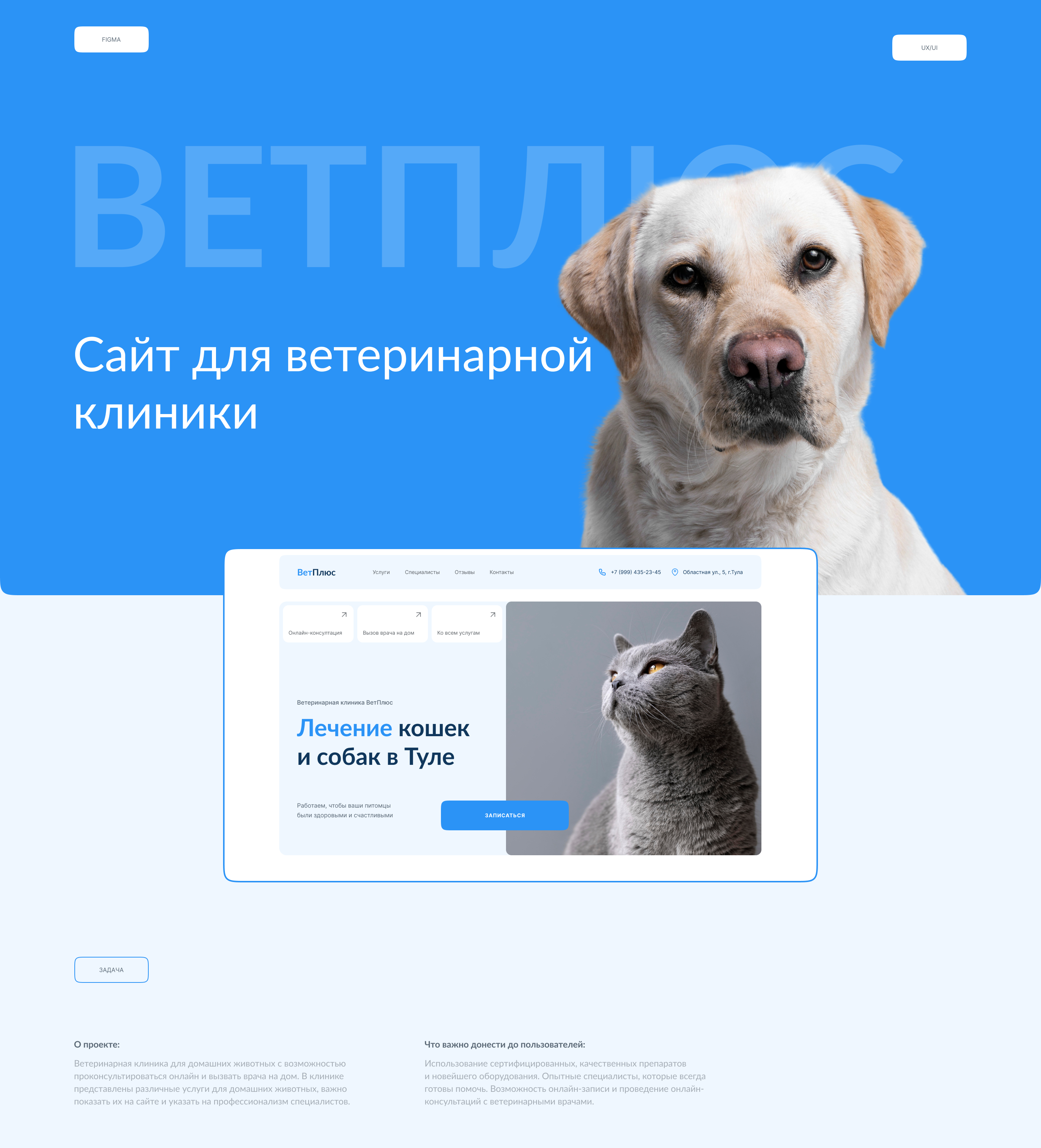 Ветеринарная клиника | Web design — Изображение №1 — Интерфейсы на Dprofile