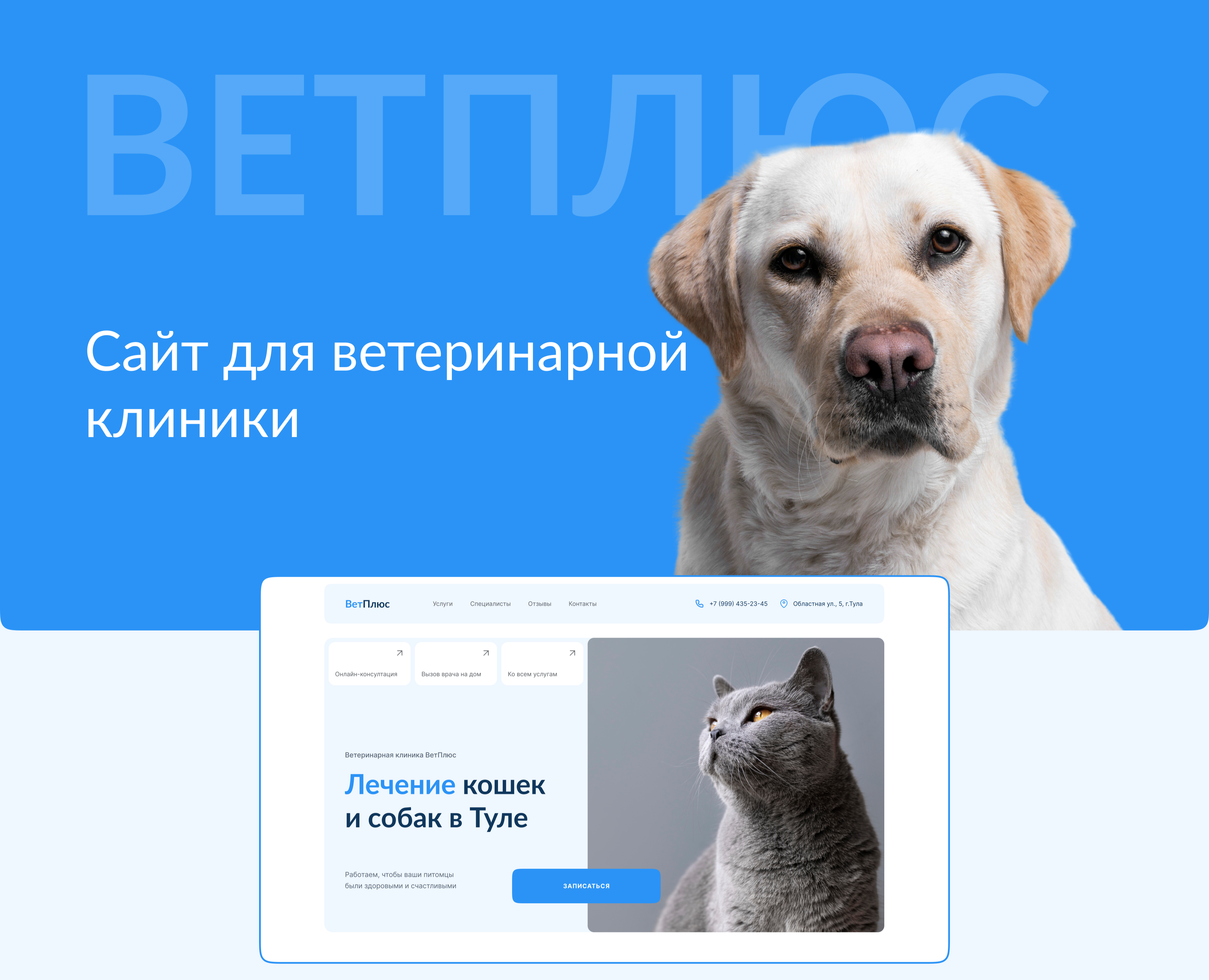 Ветеринарная клиника | Web design — Интерфейсы на Dprofile