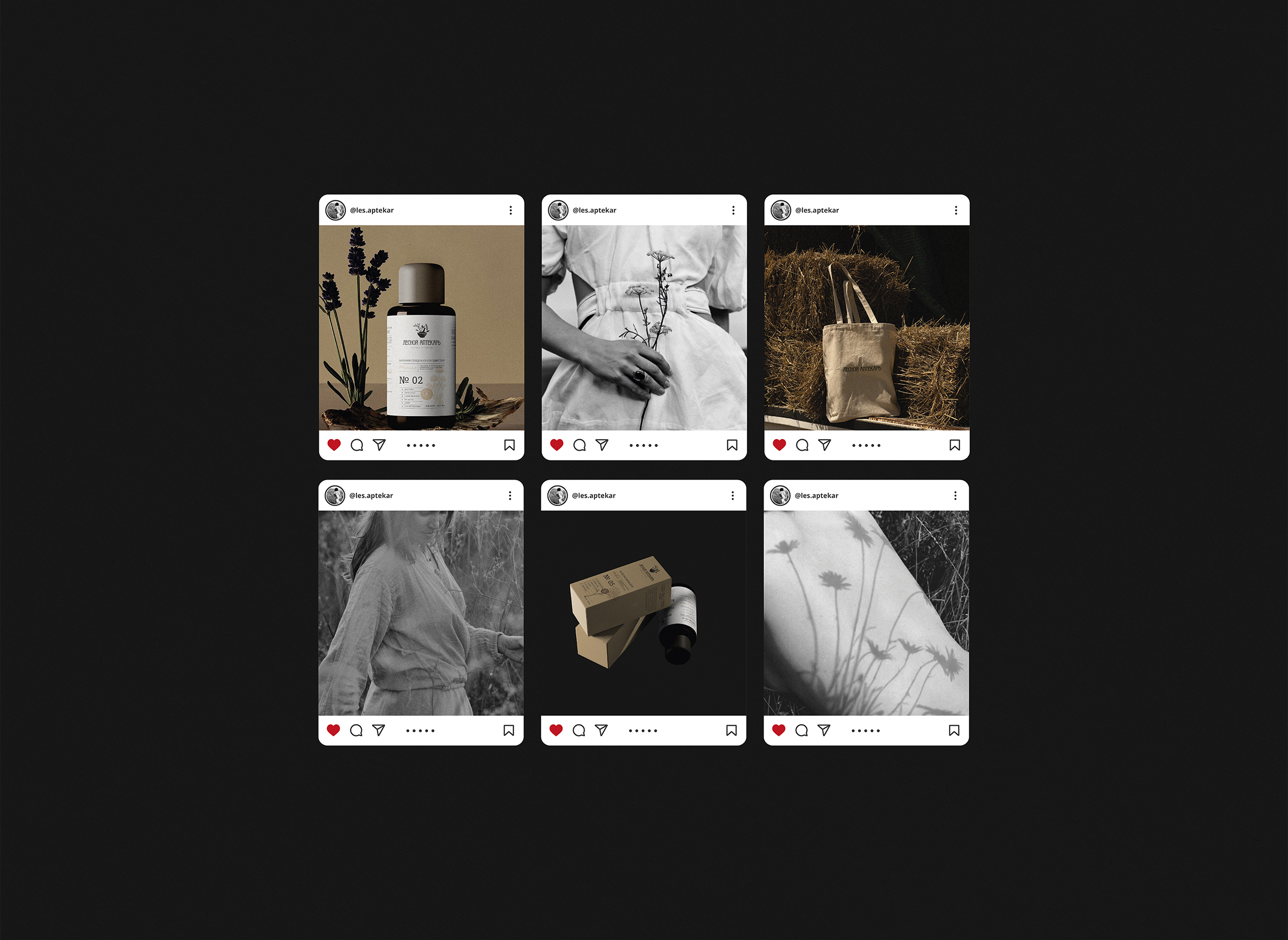 BRAND IDENTITY| ФИРМЕННЫЙ СТИЛЬ | NATURE — Изображение №9 — Брендинг на Dprofile