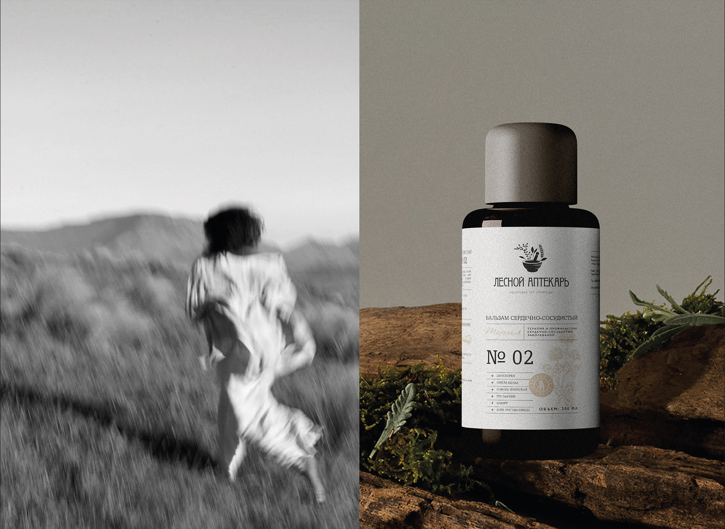 BRAND IDENTITY| ФИРМЕННЫЙ СТИЛЬ | NATURE — Изображение №4 — Брендинг на Dprofile