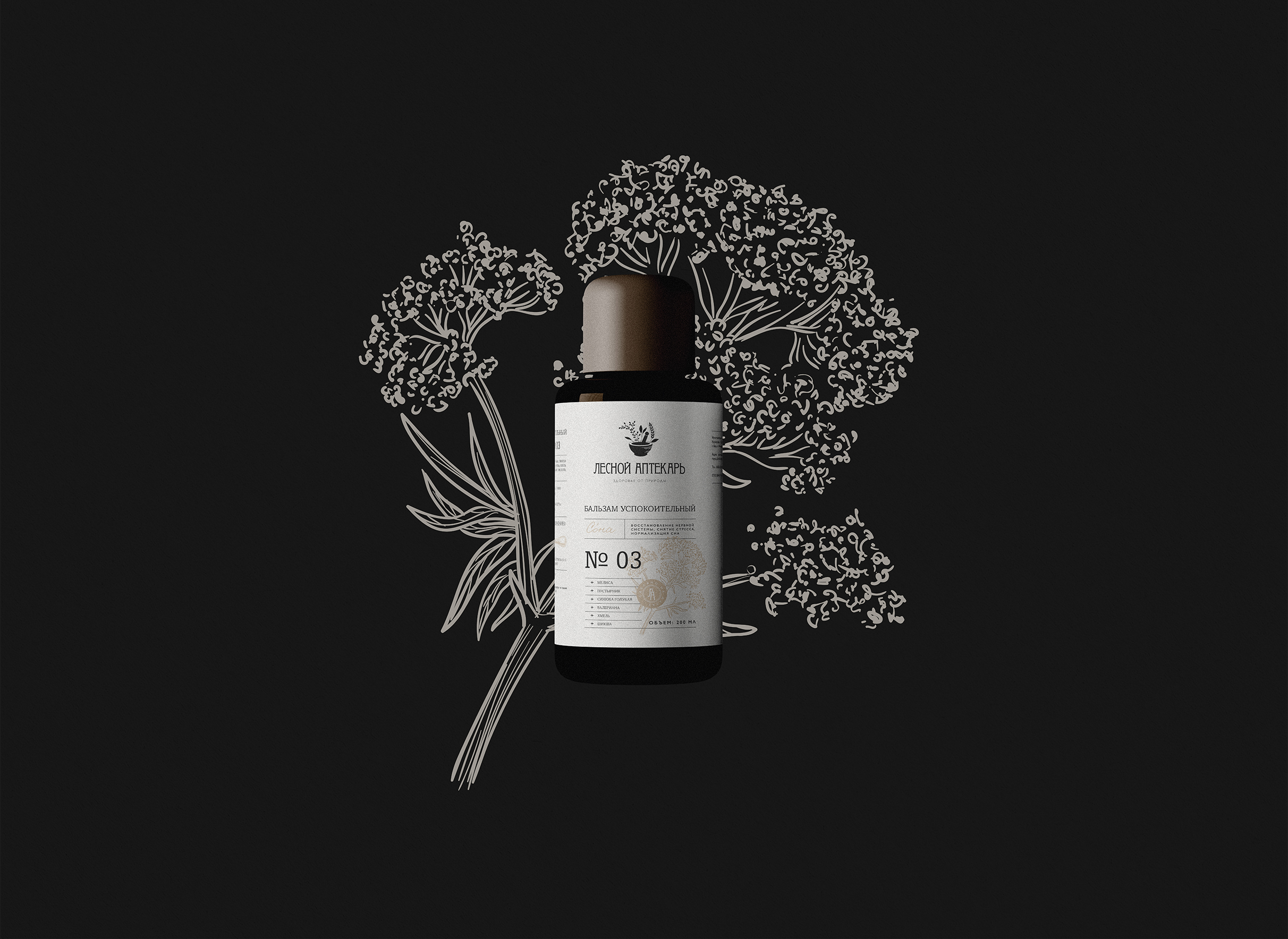 BRAND IDENTITY| ФИРМЕННЫЙ СТИЛЬ | NATURE — Изображение №7 — Брендинг на Dprofile