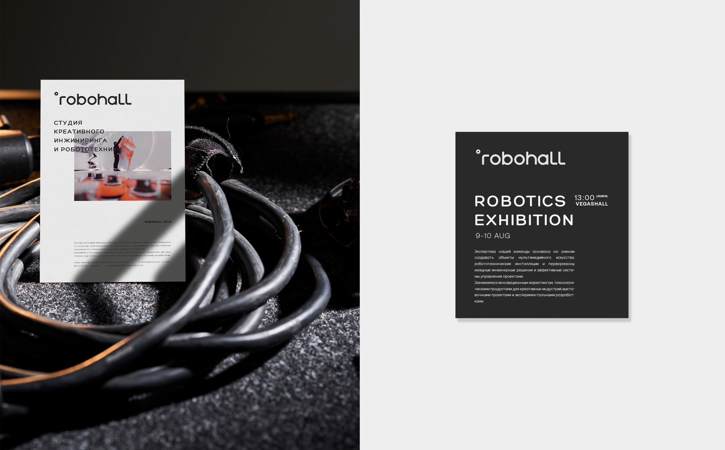 ROBOHALL |  ФИРМЕННЫЙ СТИЛЬ | BRANDING — Изображение №8 — Брендинг на Dprofile