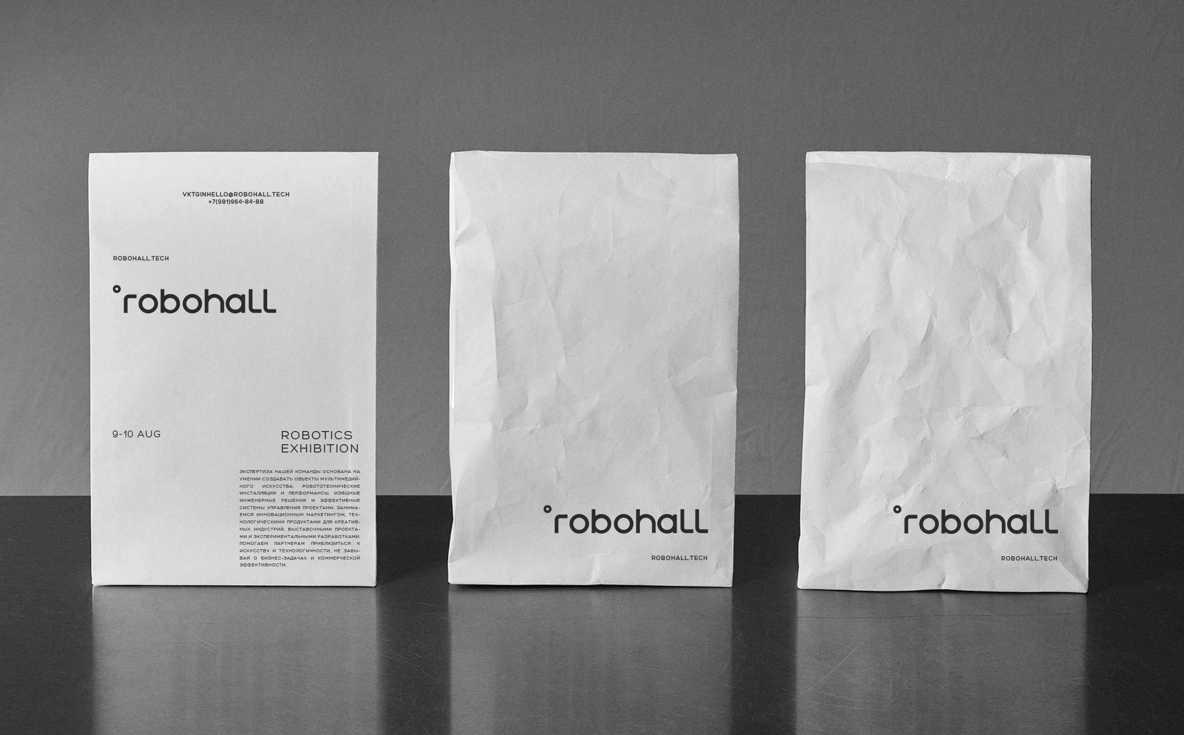 ROBOHALL |  ФИРМЕННЫЙ СТИЛЬ | BRANDING — Изображение №2 — Брендинг на Dprofile