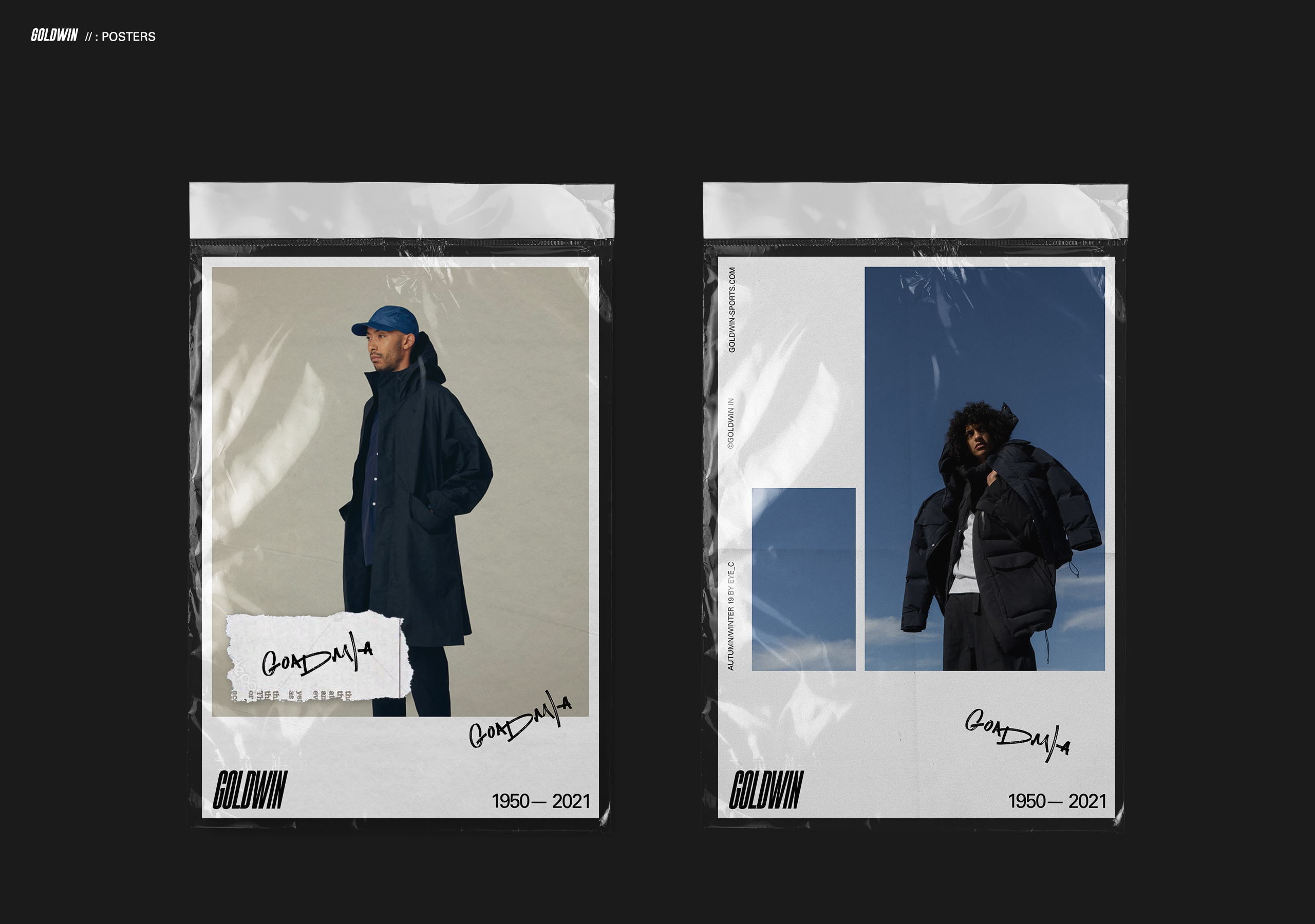 Goldwin INC. — Изображение №8 — Брендинг на Dprofile