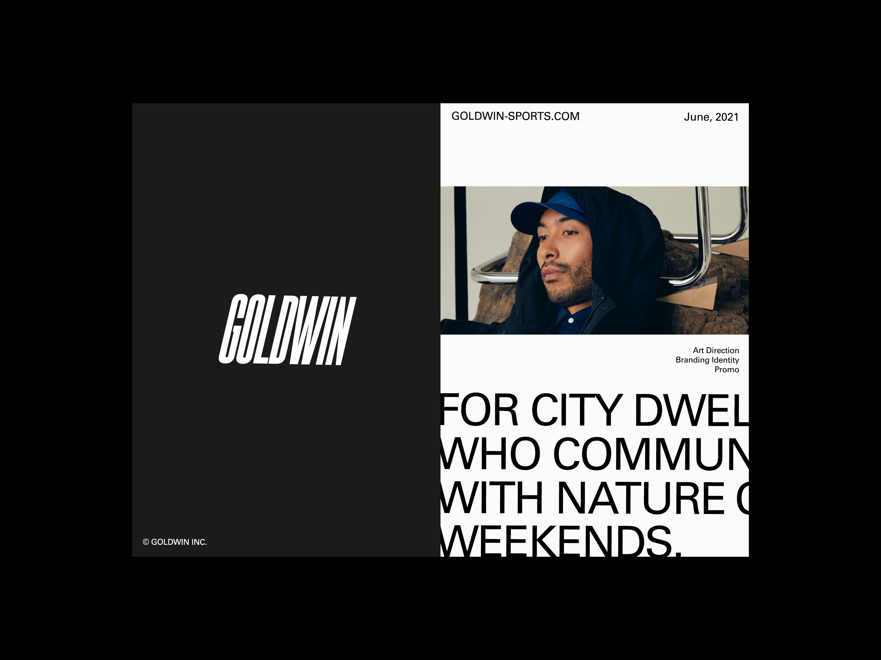 Goldwin INC. — Изображение №1 — Брендинг на Dprofile