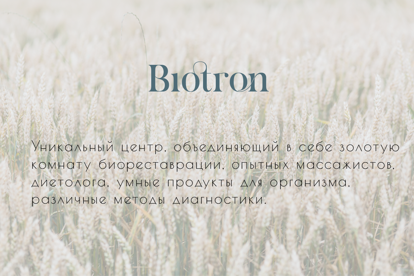 Biotron — Изображение №2 — Брендинг на Dprofile