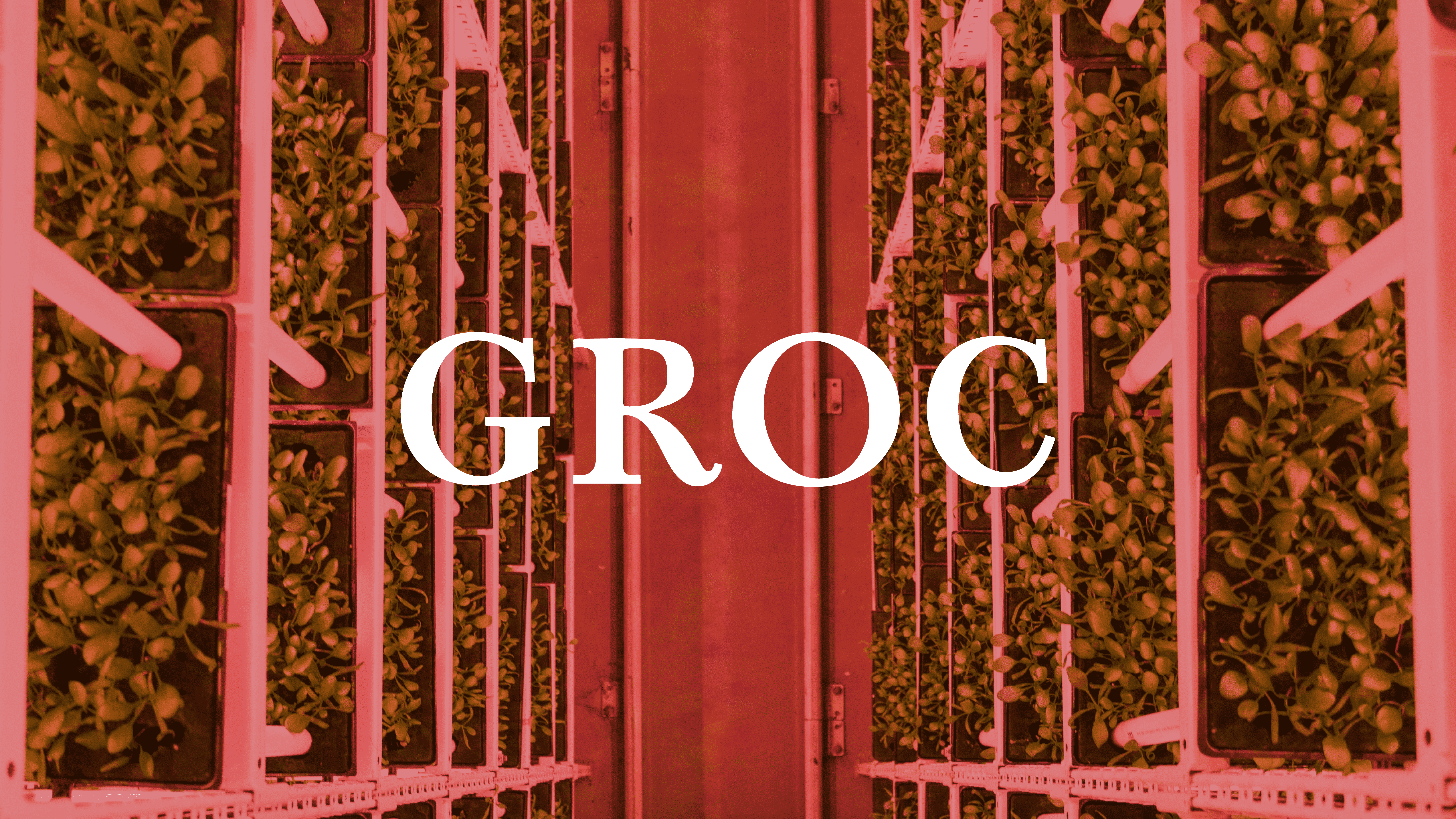 Groc. Логотип для агрохолдинга. — Изображение №1 — Брендинг, Графика на Dprofile