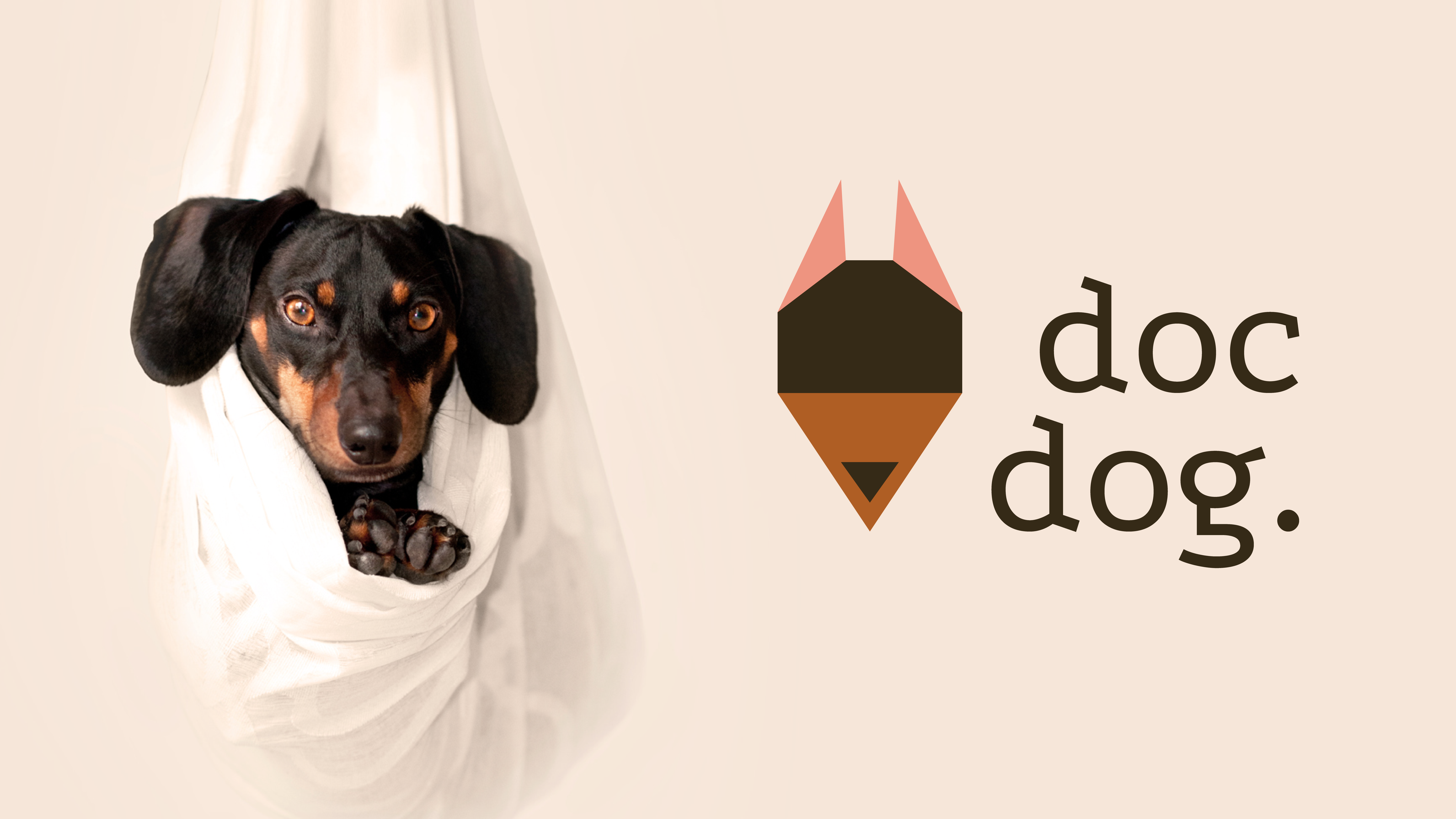 Docdog. Логотип для ветеринарной клиники. — Изображение №1 — Брендинг, Графика на Dprofile
