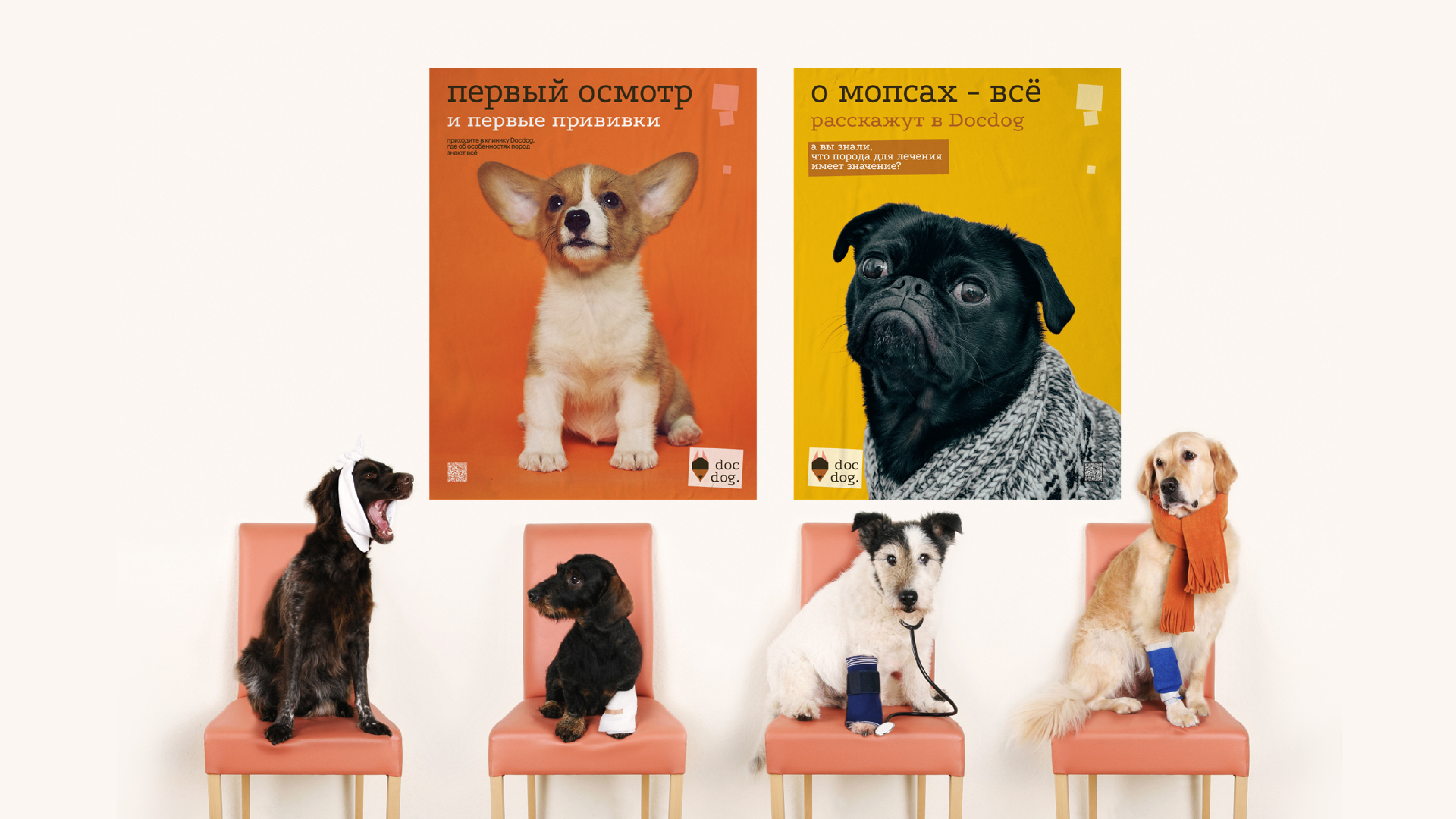 Docdog. Логотип для ветеринарной клиники. — Изображение №3 — Брендинг, Графика на Dprofile