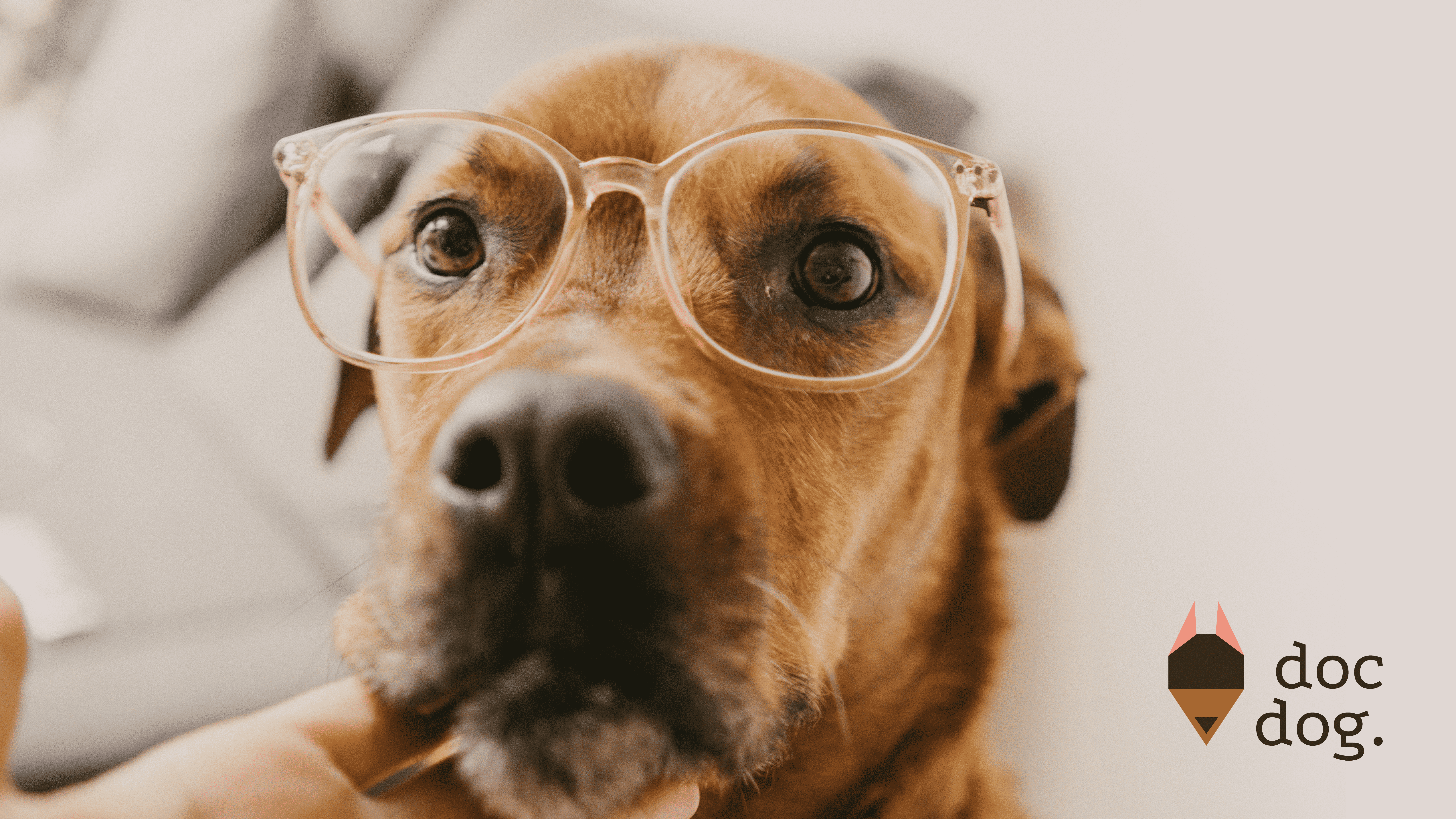Docdog. Логотип для ветеринарной клиники. — Изображение №12 — Брендинг, Графика на Dprofile