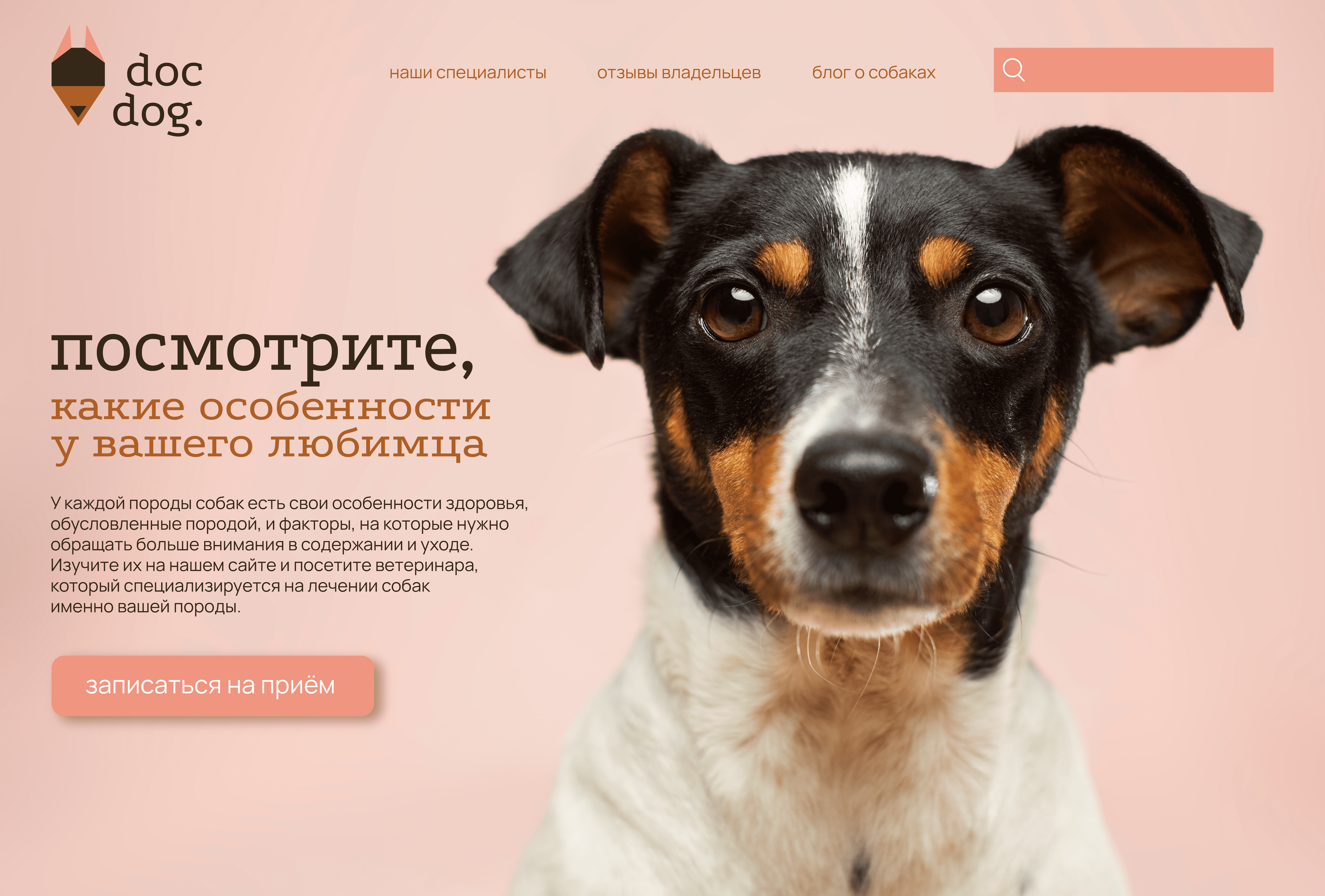 Docdog. Логотип для ветеринарной клиники. — Изображение №6 — Брендинг, Графика на Dprofile
