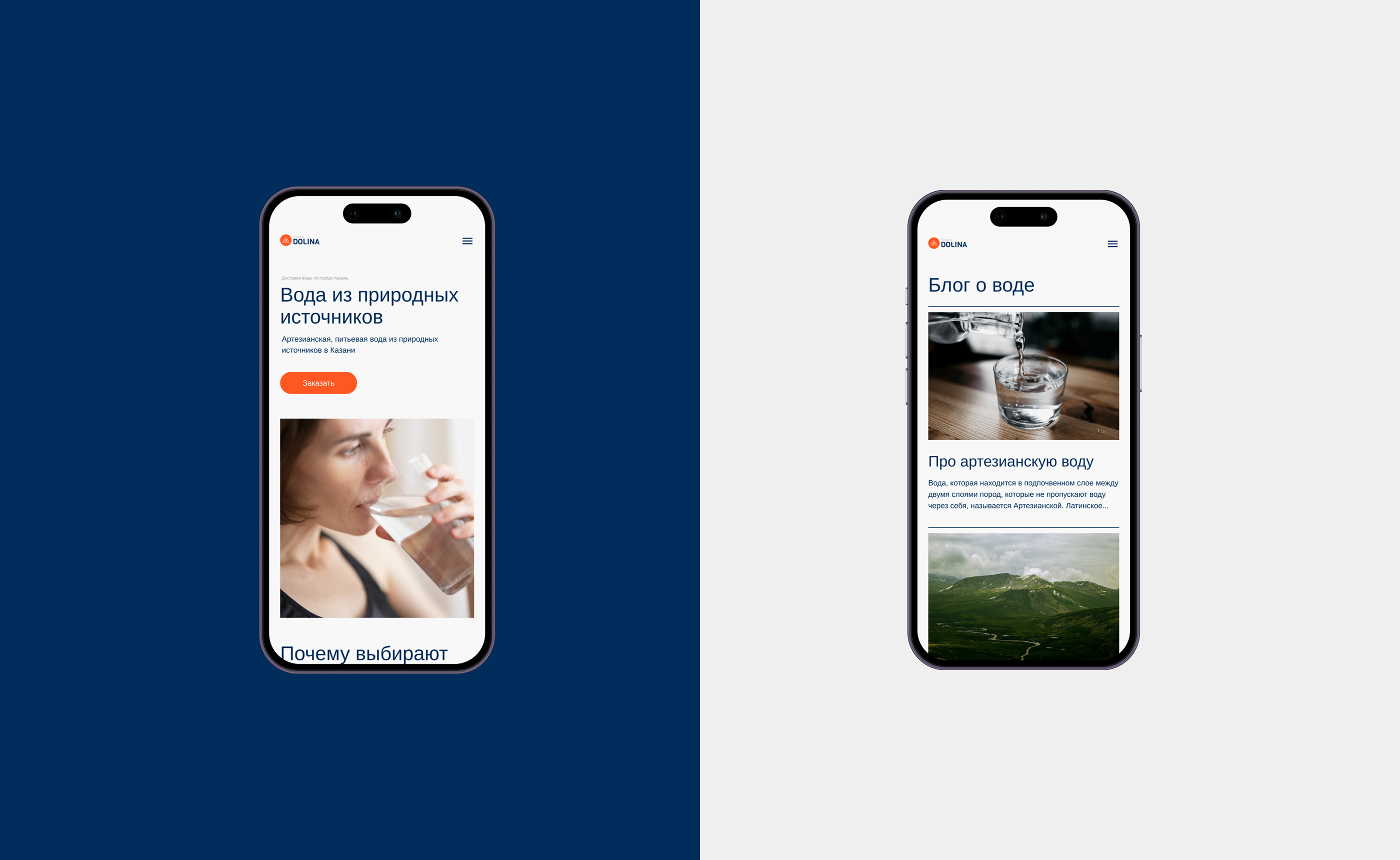 Water delivery site — Изображение №4 — Интерфейсы, Графика на Dprofile