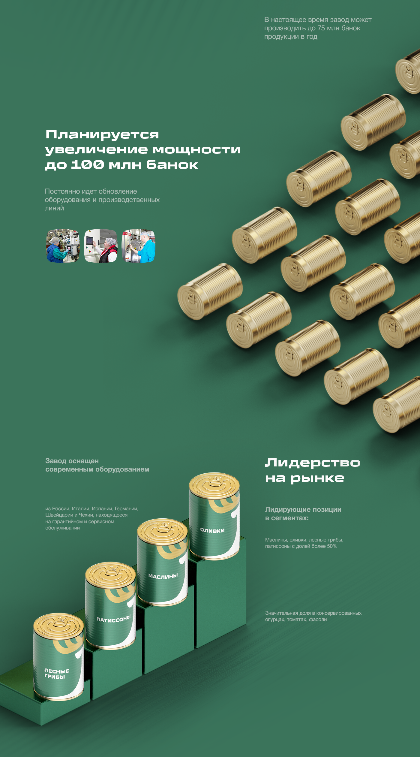 Презентация Производственного предприятия «Вастега» с российским капиталом (Presentation) — Изображение №3 — Графика, Маркетинг на Dprofile