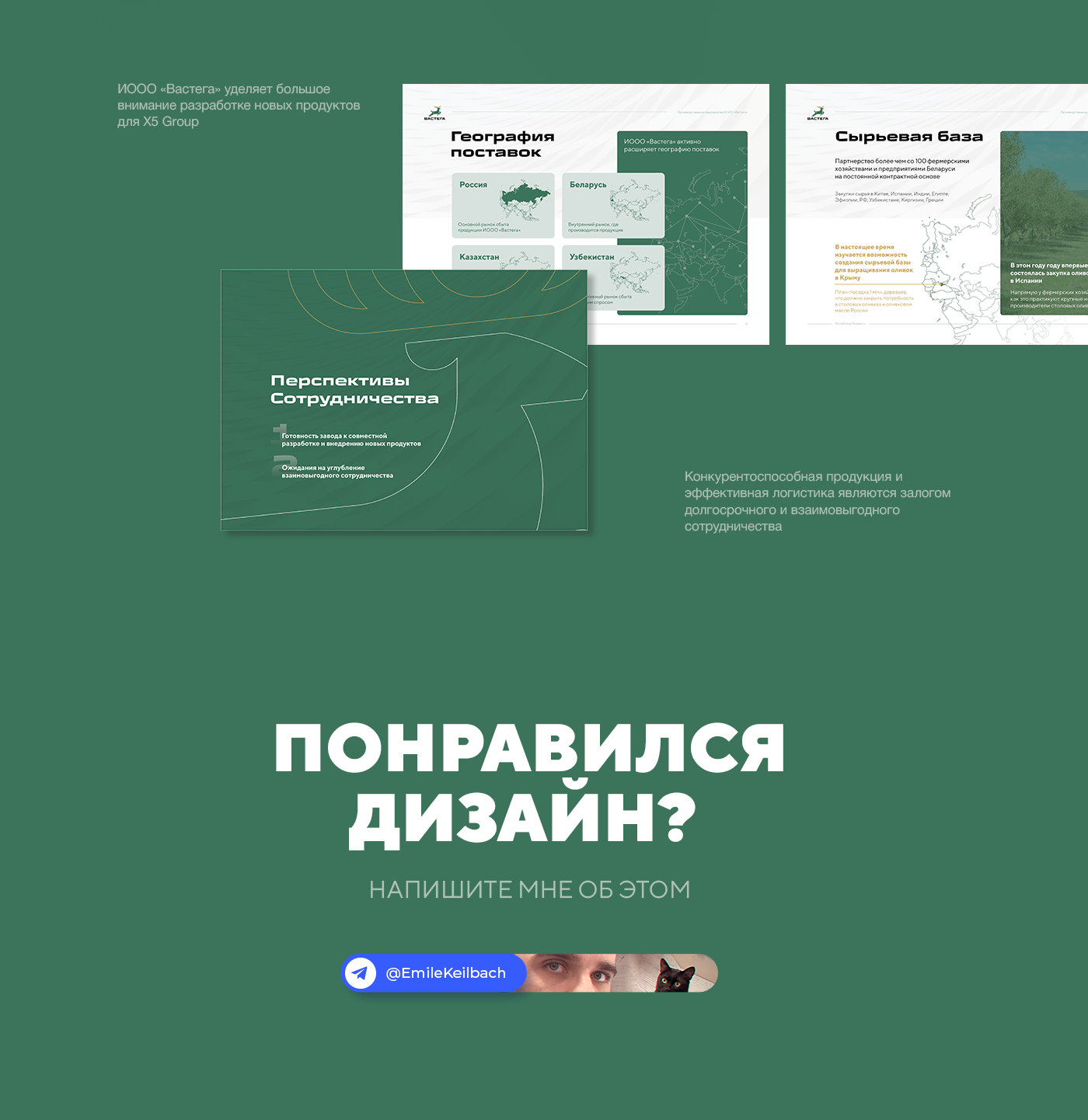 Презентация Производственного предприятия «Вастега» с российским капиталом (Presentation) — Изображение №5 — Графика, Маркетинг на Dprofile