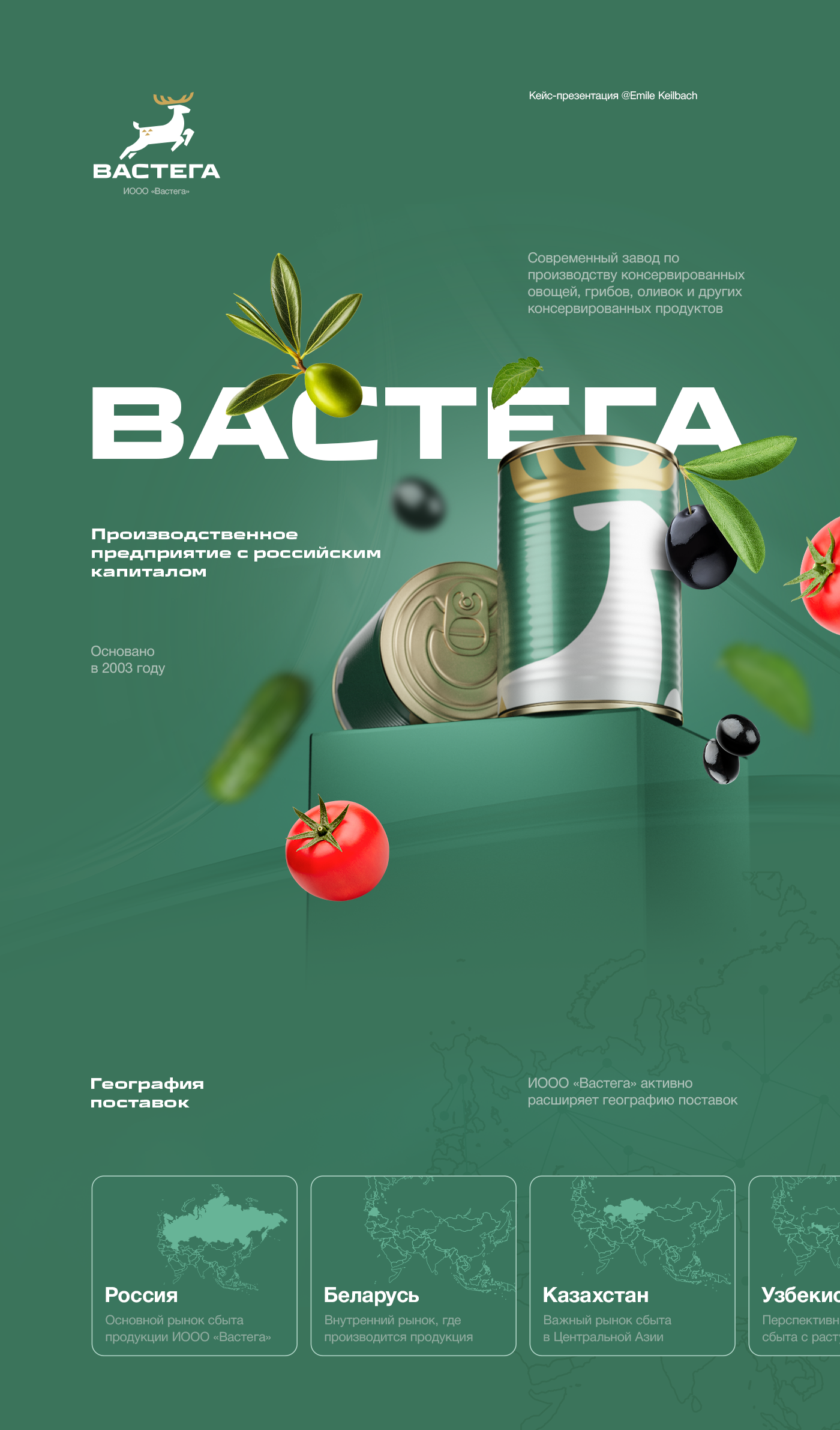 Презентация Производственного предприятия «Вастега» с российским капиталом (Presentation) — Изображение №1 — Графика, Маркетинг на Dprofile