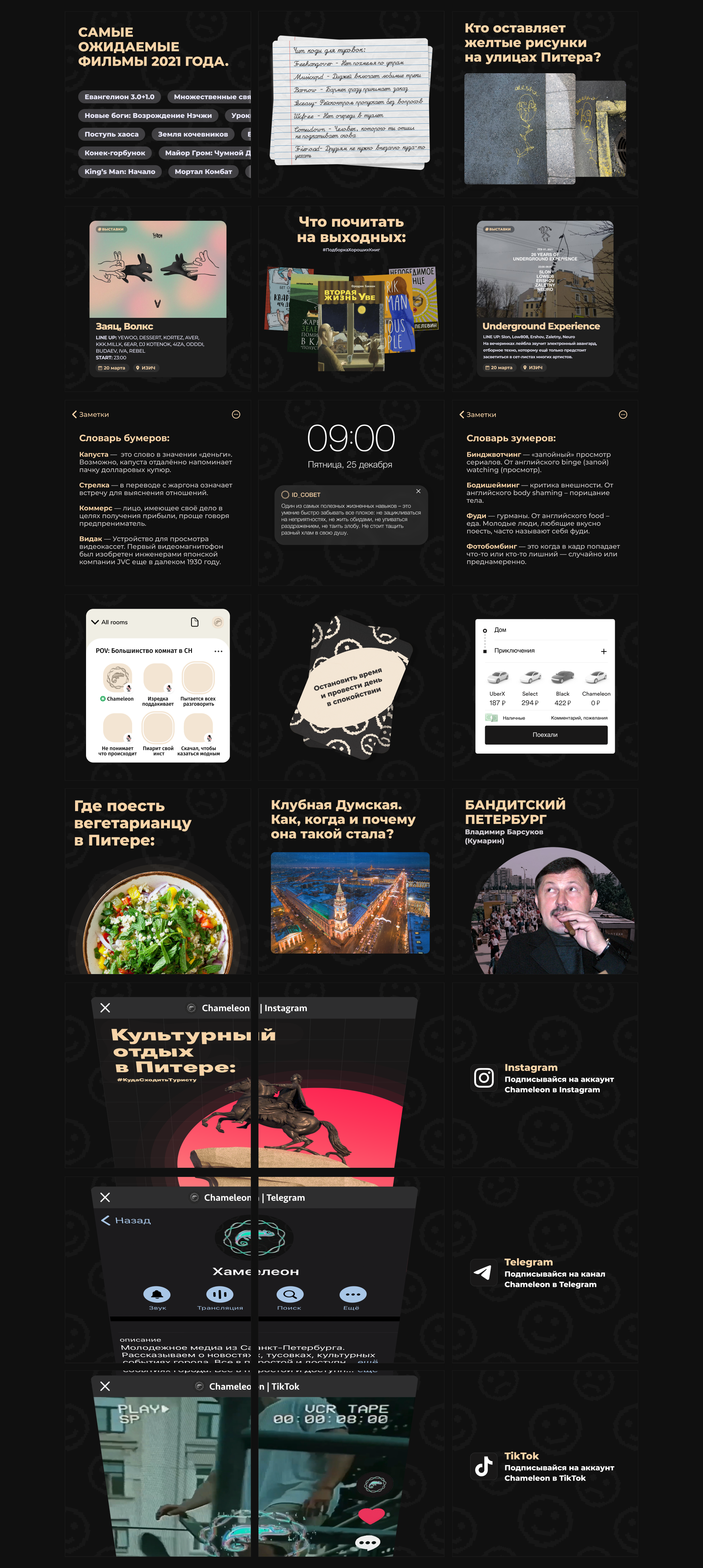 CHAMELEON | Branding — Изображение №8 — Брендинг на Dprofile