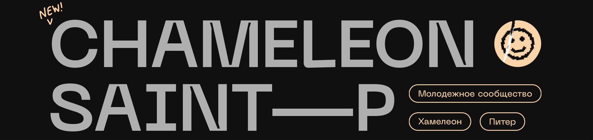 CHAMELEON | Branding — Изображение №2 — Брендинг на Dprofile