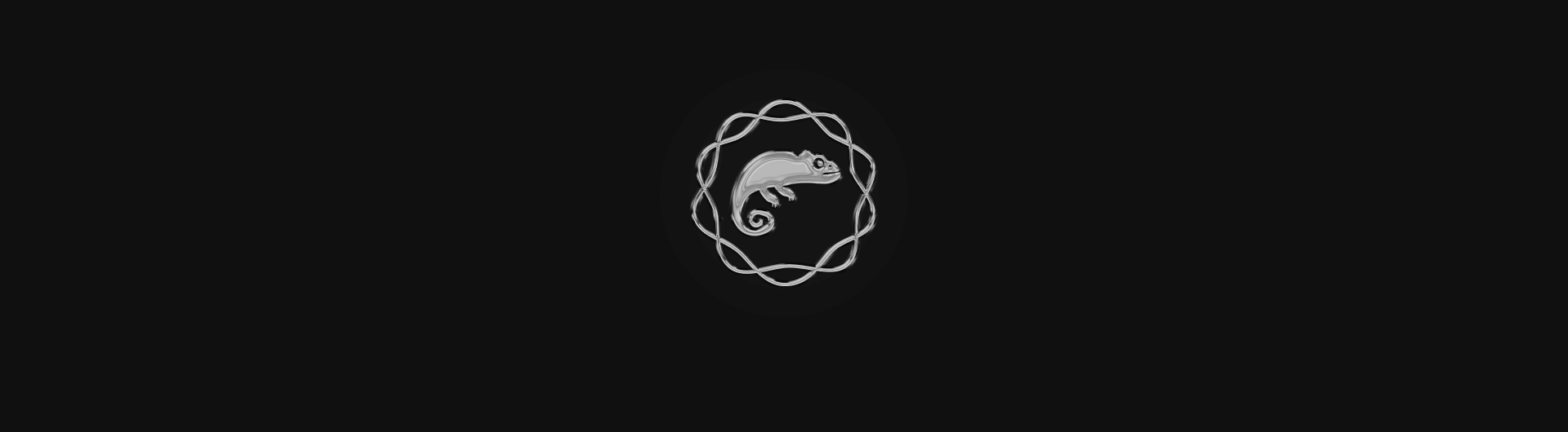 CHAMELEON | Branding — Изображение №15 — Брендинг на Dprofile