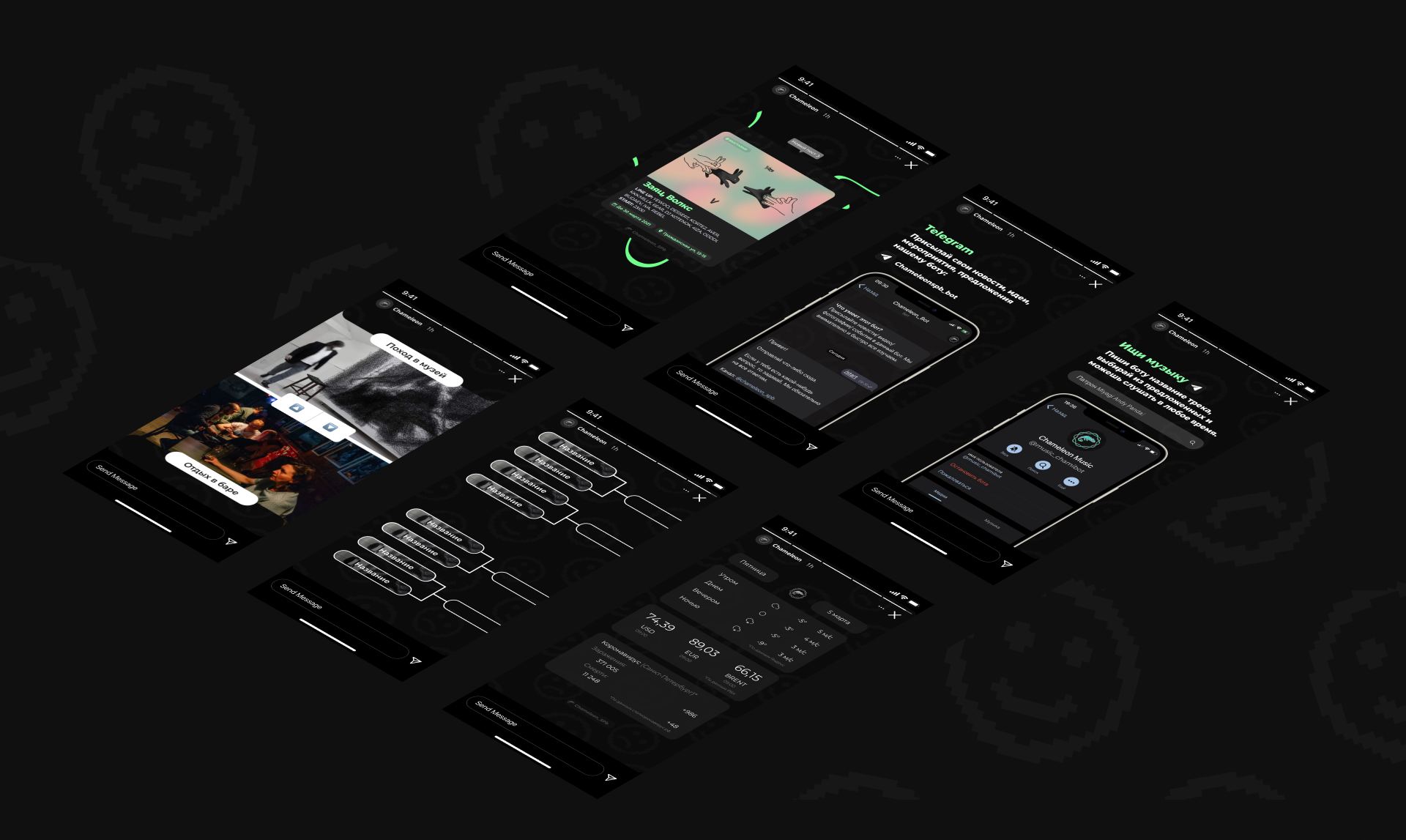 CHAMELEON | Branding — Изображение №10 — Брендинг на Dprofile