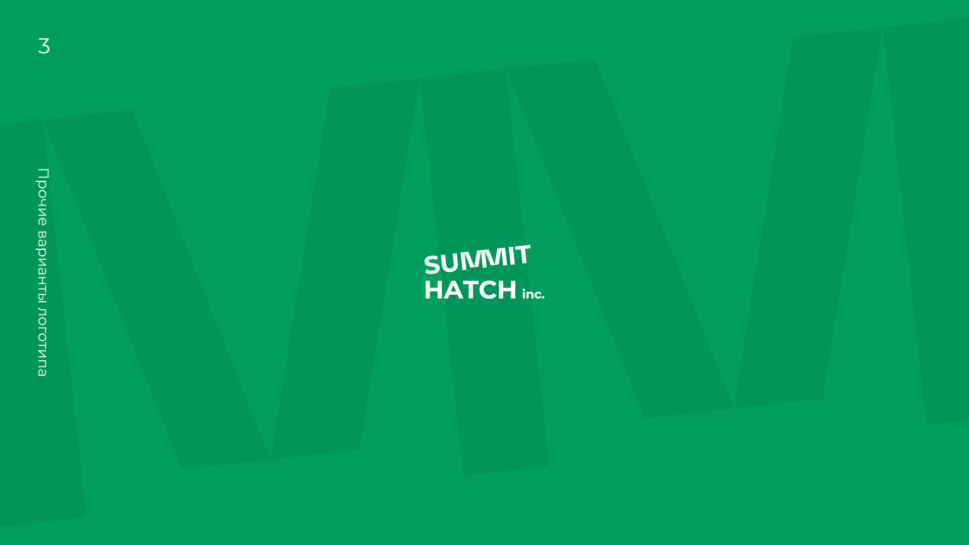Фирменный стиль для "Summit Hatch" — Изображение №4 — Брендинг на Dprofile