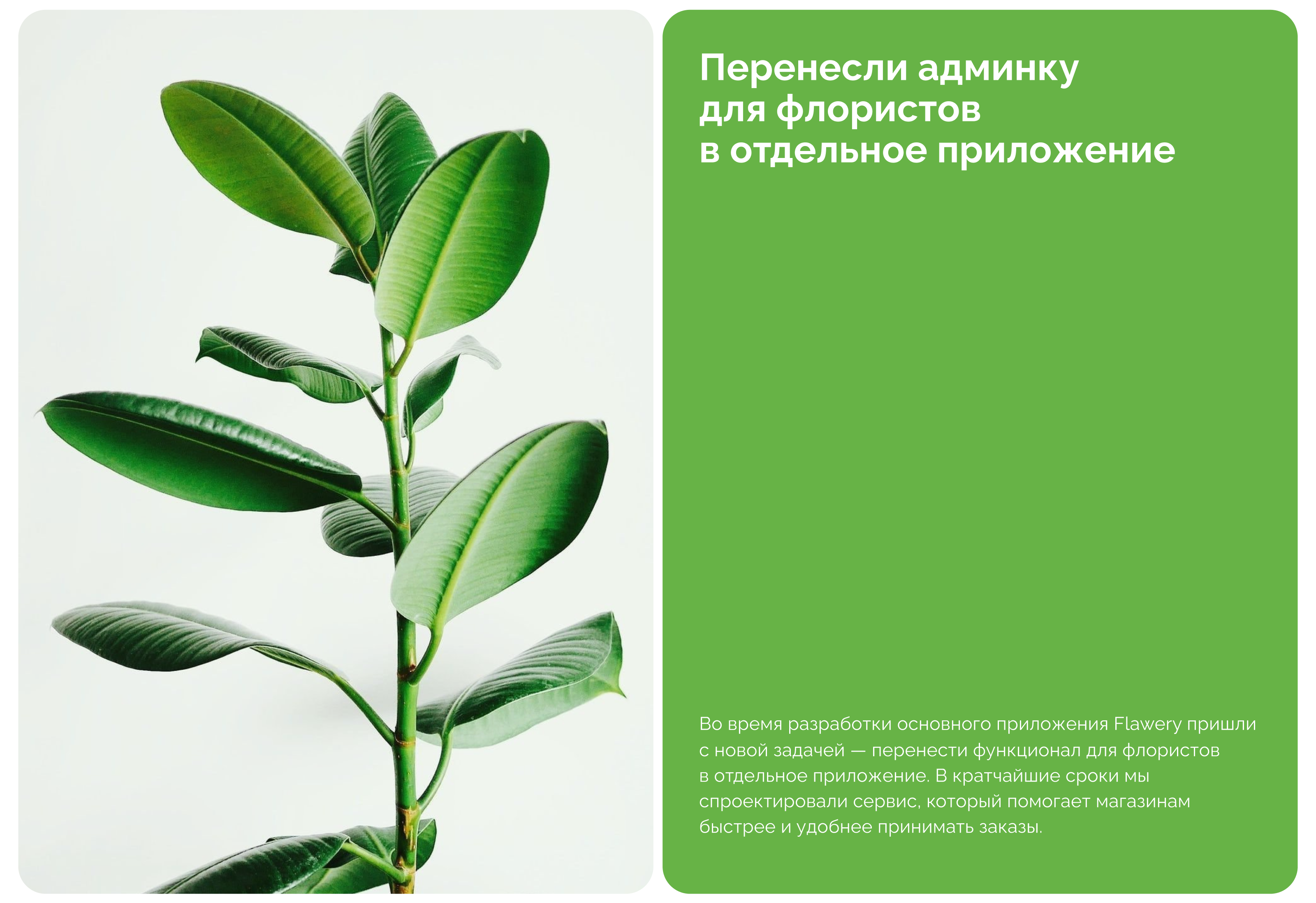 Flawery - цветочный маркетплейс — Изображение №8 — Интерфейсы, Графика на Dprofile