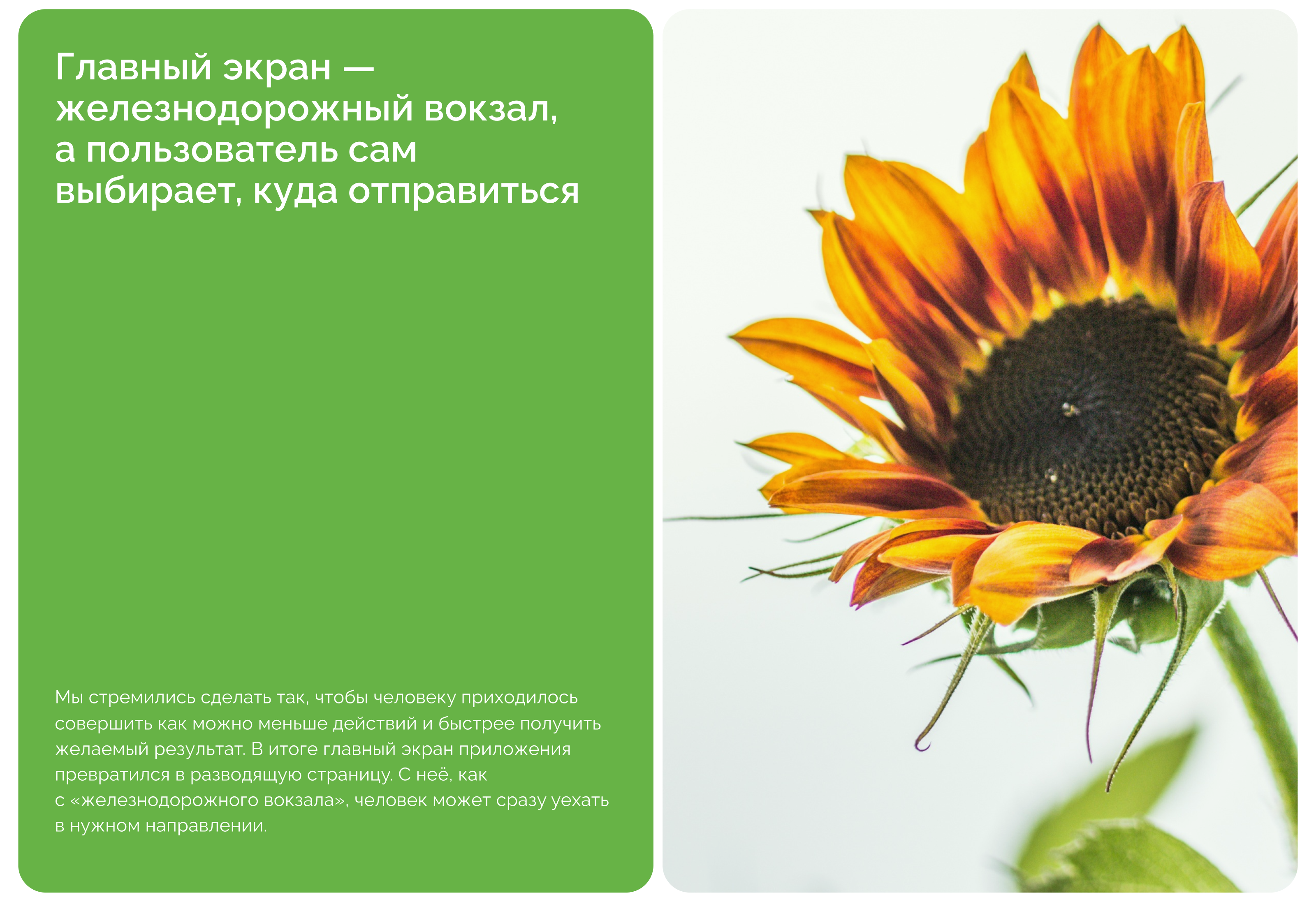 Flawery - цветочный маркетплейс — Изображение №5 — Интерфейсы, Графика на Dprofile