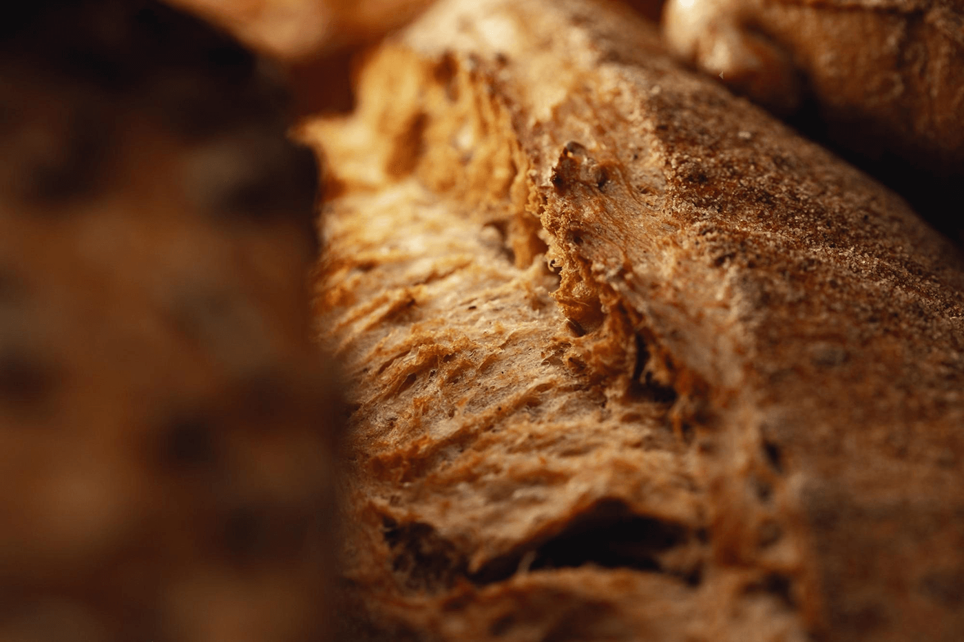 bernard. breads & more — Изображение №6 — Брендинг на Dprofile