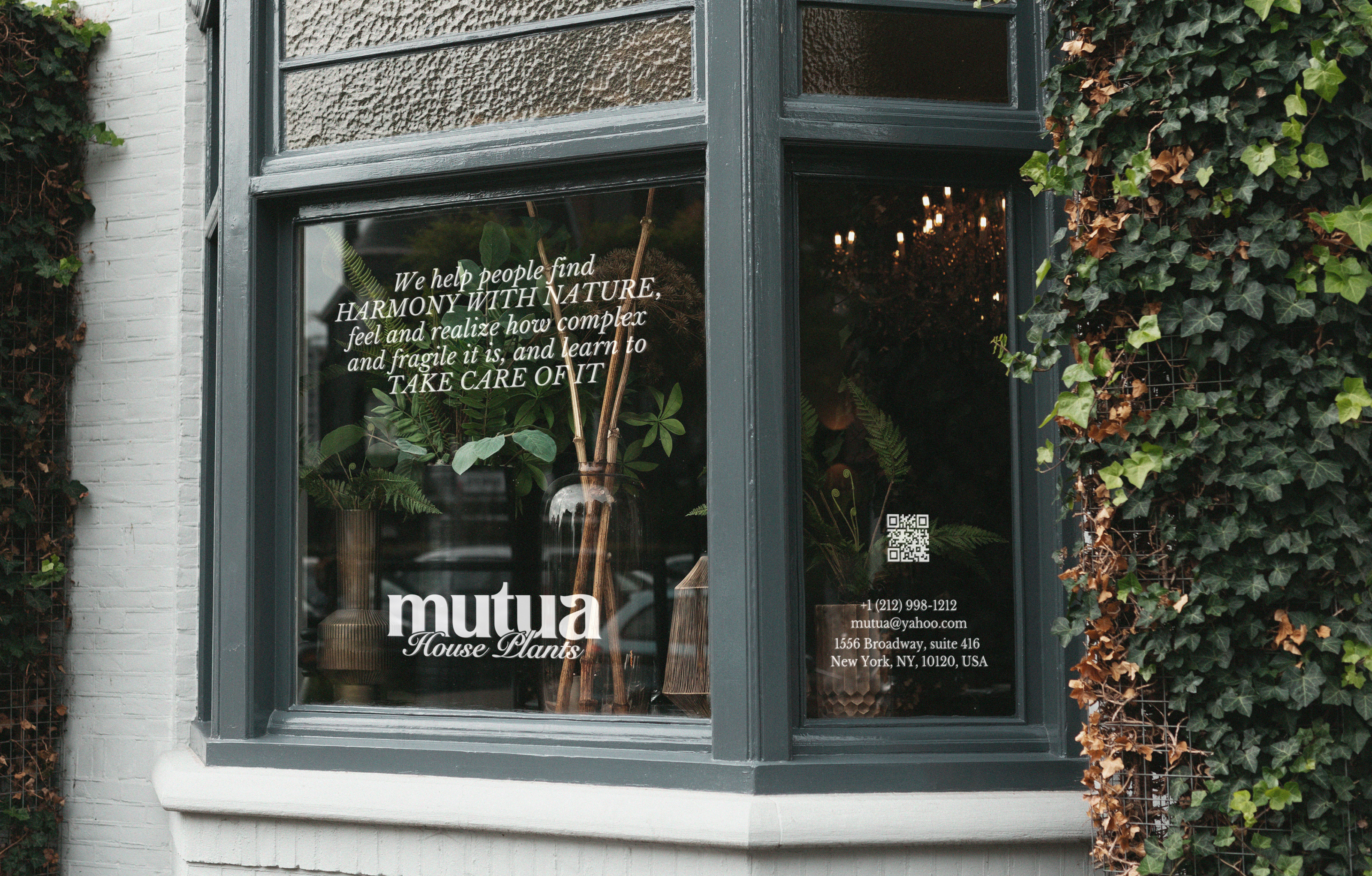 MUTUA / Brand Identity / House Plants — Изображение №8 — Брендинг, Графика на Dprofile