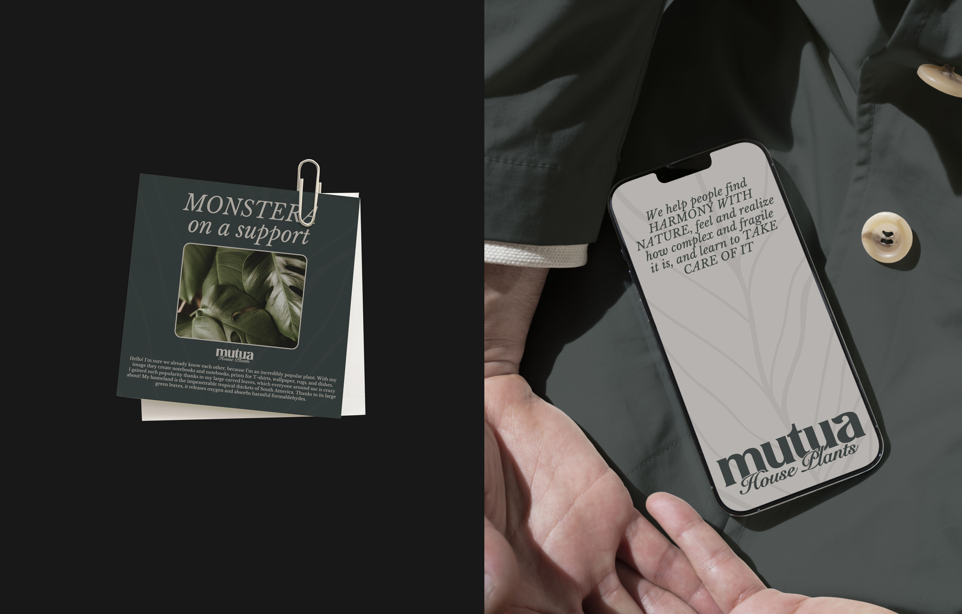 MUTUA / Brand Identity / House Plants — Изображение №14 — Брендинг, Графика на Dprofile