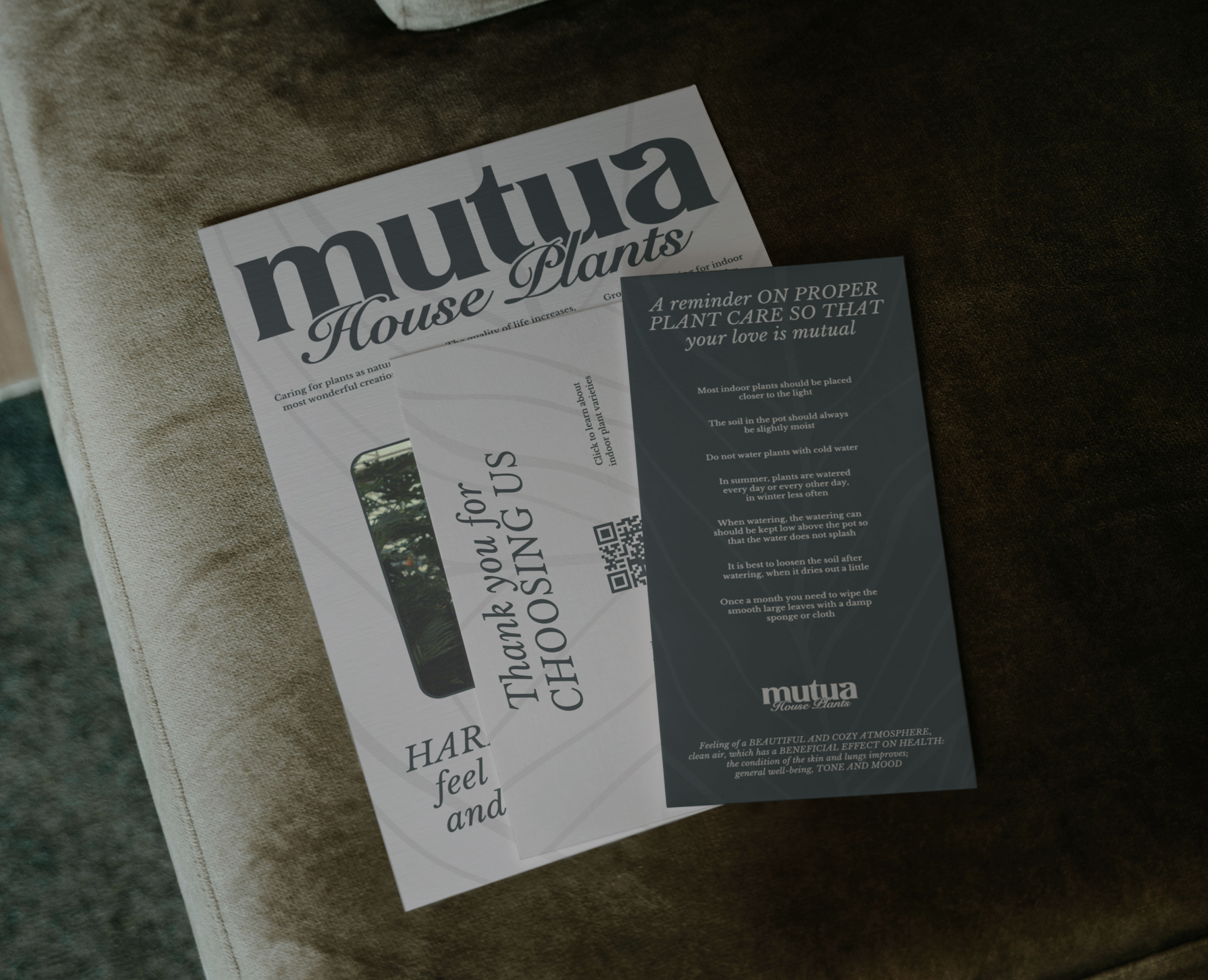 MUTUA / Brand Identity / House Plants на Dprofile