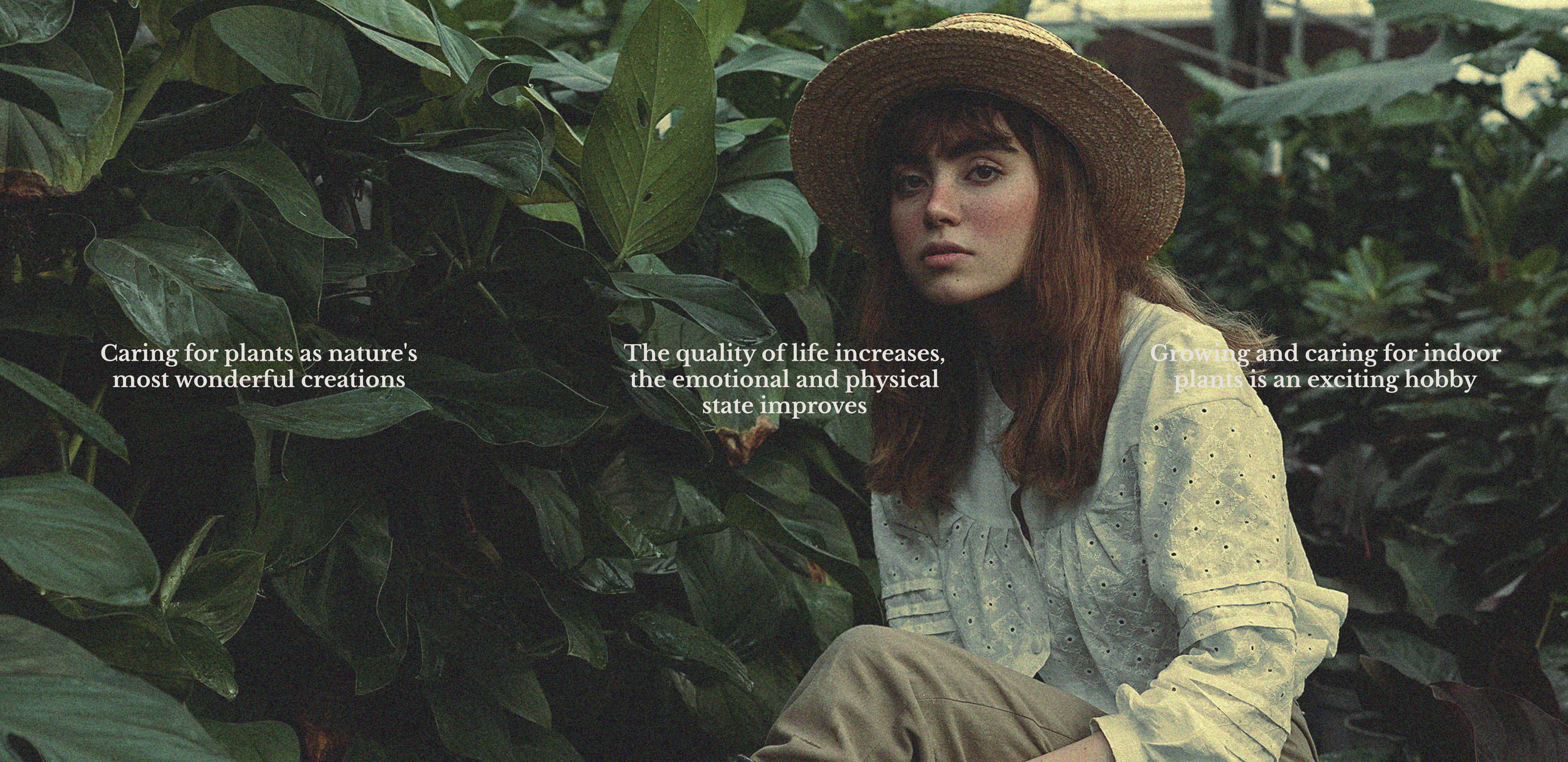 MUTUA / Brand Identity / House Plants — Изображение №17 — Брендинг, Графика на Dprofile