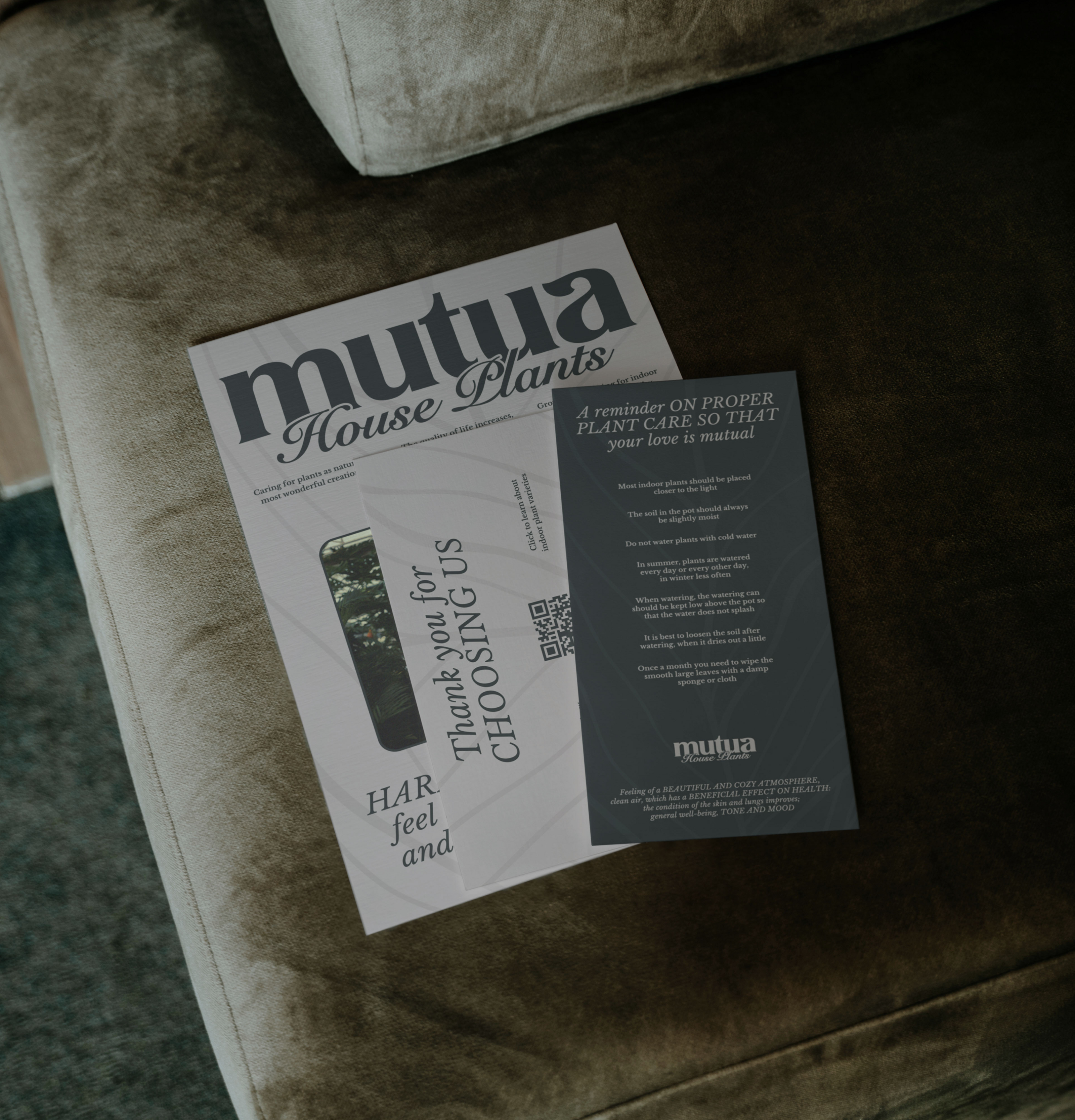 MUTUA / Brand Identity / House Plants — Изображение №10 — Брендинг, Графика на Dprofile