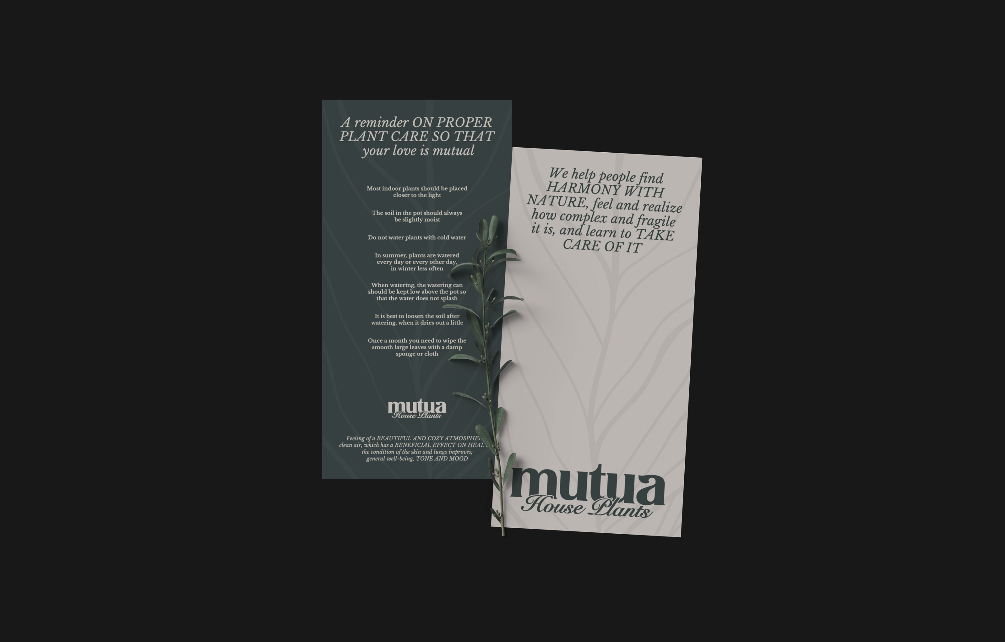 MUTUA / Brand Identity / House Plants — Изображение №9 — Брендинг, Графика на Dprofile
