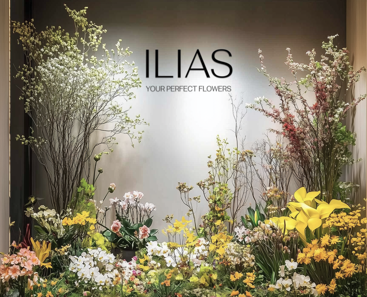 ILIAS FLOWERS | ФИРМЕННЫЙ СТИЛЬ — Брендинг на Dprofile