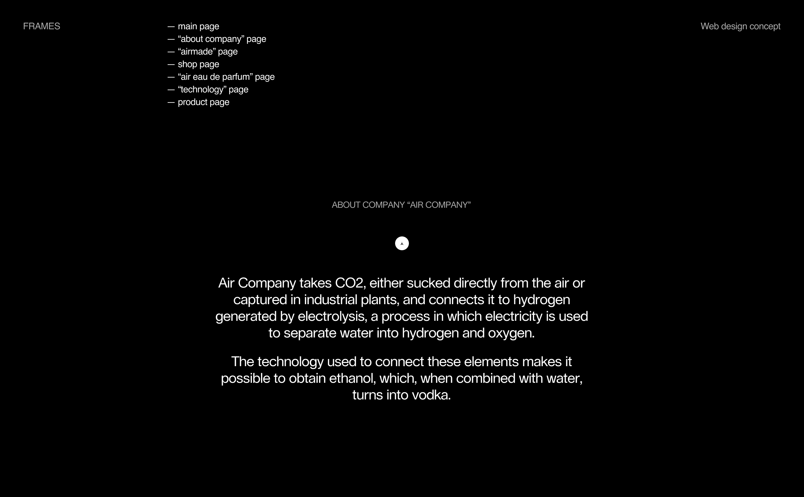 Air Company [concept] — Изображение №2 — Интерфейсы, Брендинг, Анимация на Dprofile