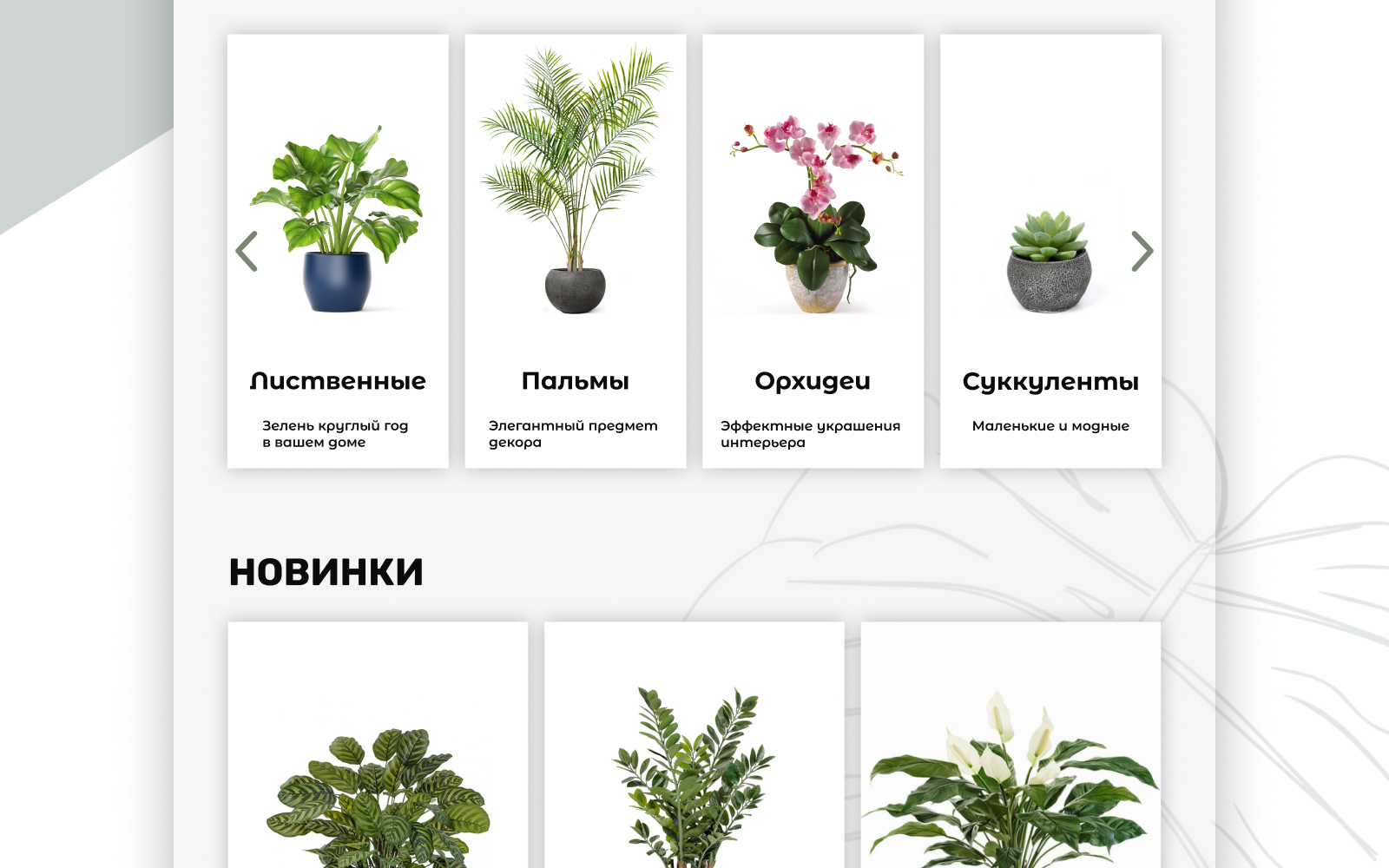 Landing page/green home — Изображение №4 — Интерфейсы, Брендинг на Dprofile