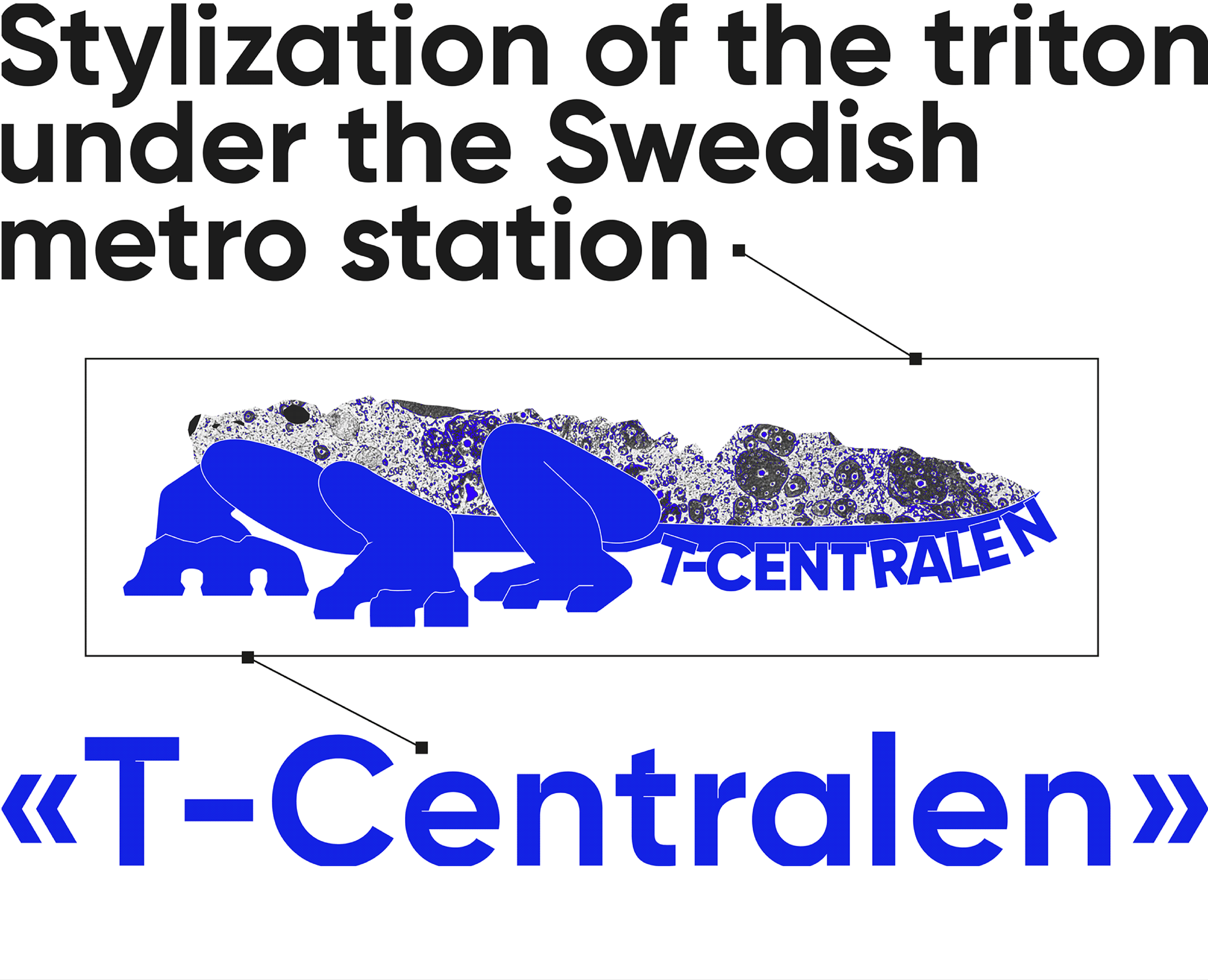 Stylization Of The Triton — Брендинг, Графика на Dprofile