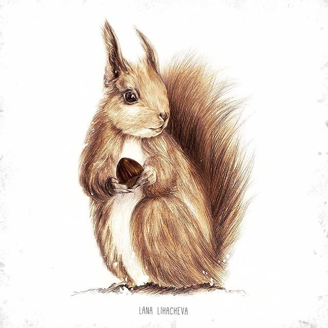 Портреты животных — Изображение №17 — Иллюстрация, Графика на Dprofile