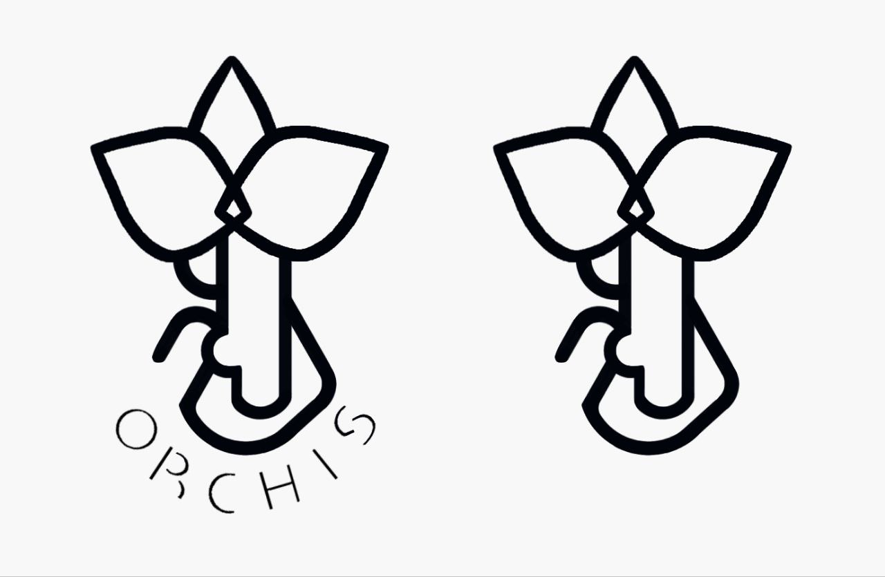 Разработка логотипа спасалона "ORCHIS" — Изображение №4 — Брендинг на Dprofile