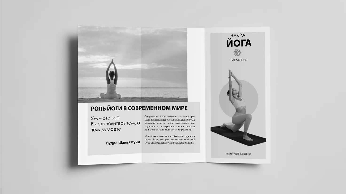 Дизайн брошюры — Изображение №7 — Интерфейсы, Графика на Dprofile
