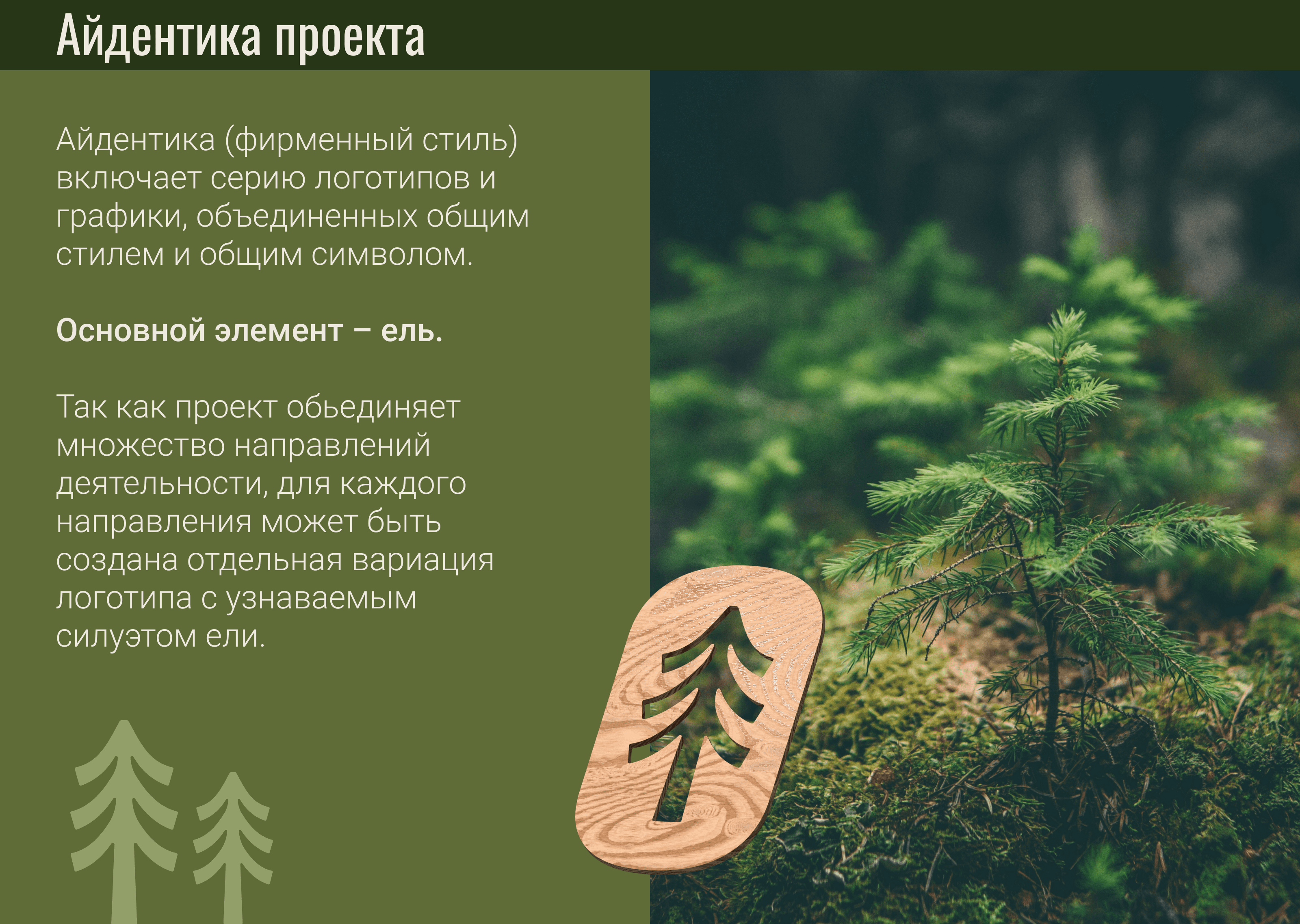 Лого и айдентика для эко-проекта — Изображение №3 — Брендинг, Иллюстрация на Dprofile