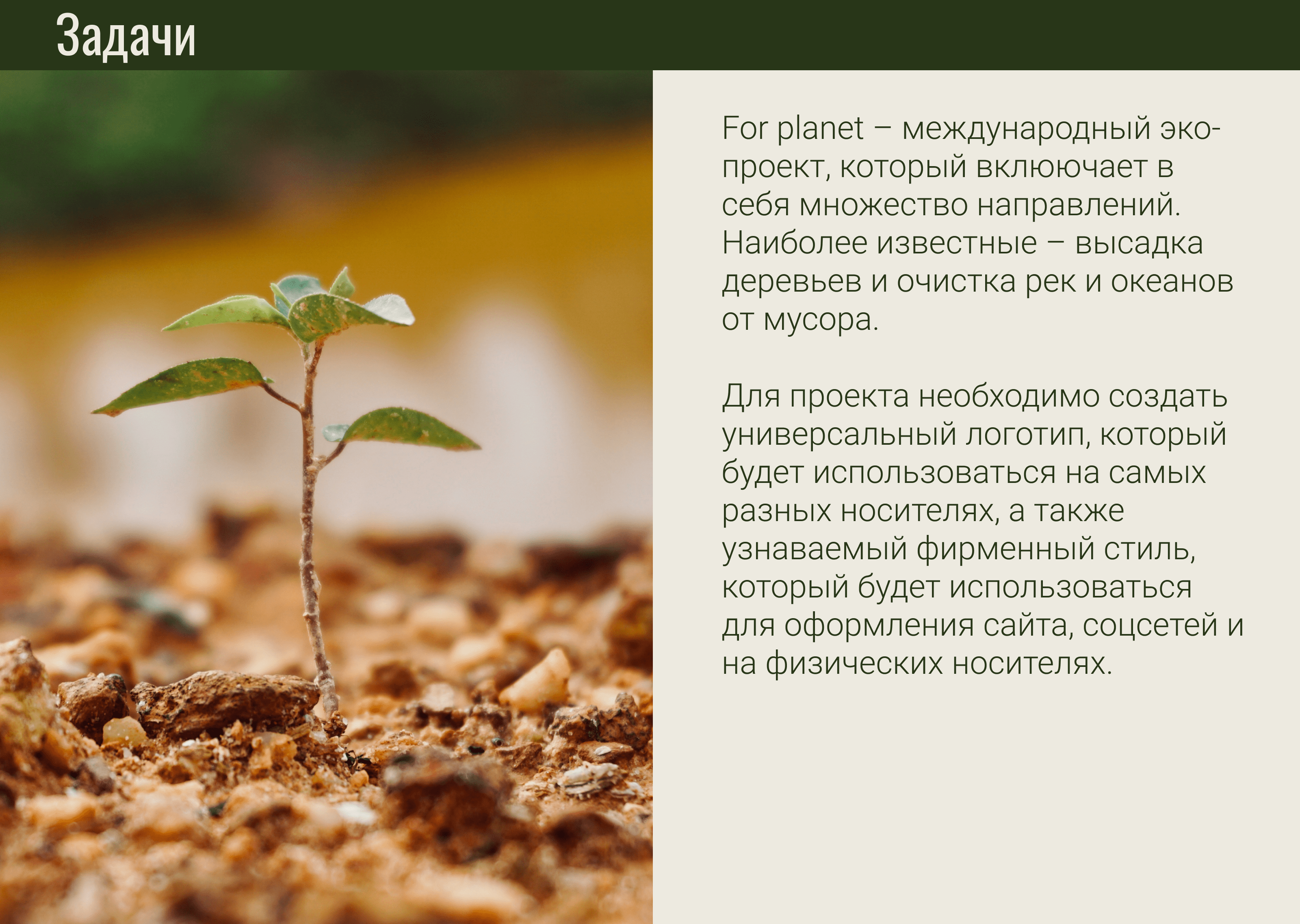 Лого и айдентика для эко-проекта — Изображение №2 — Брендинг, Иллюстрация на Dprofile
