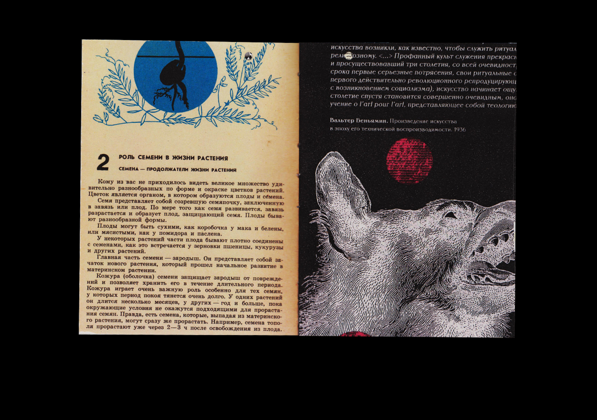 book with books — Изображение №4 — Графика на Dprofile