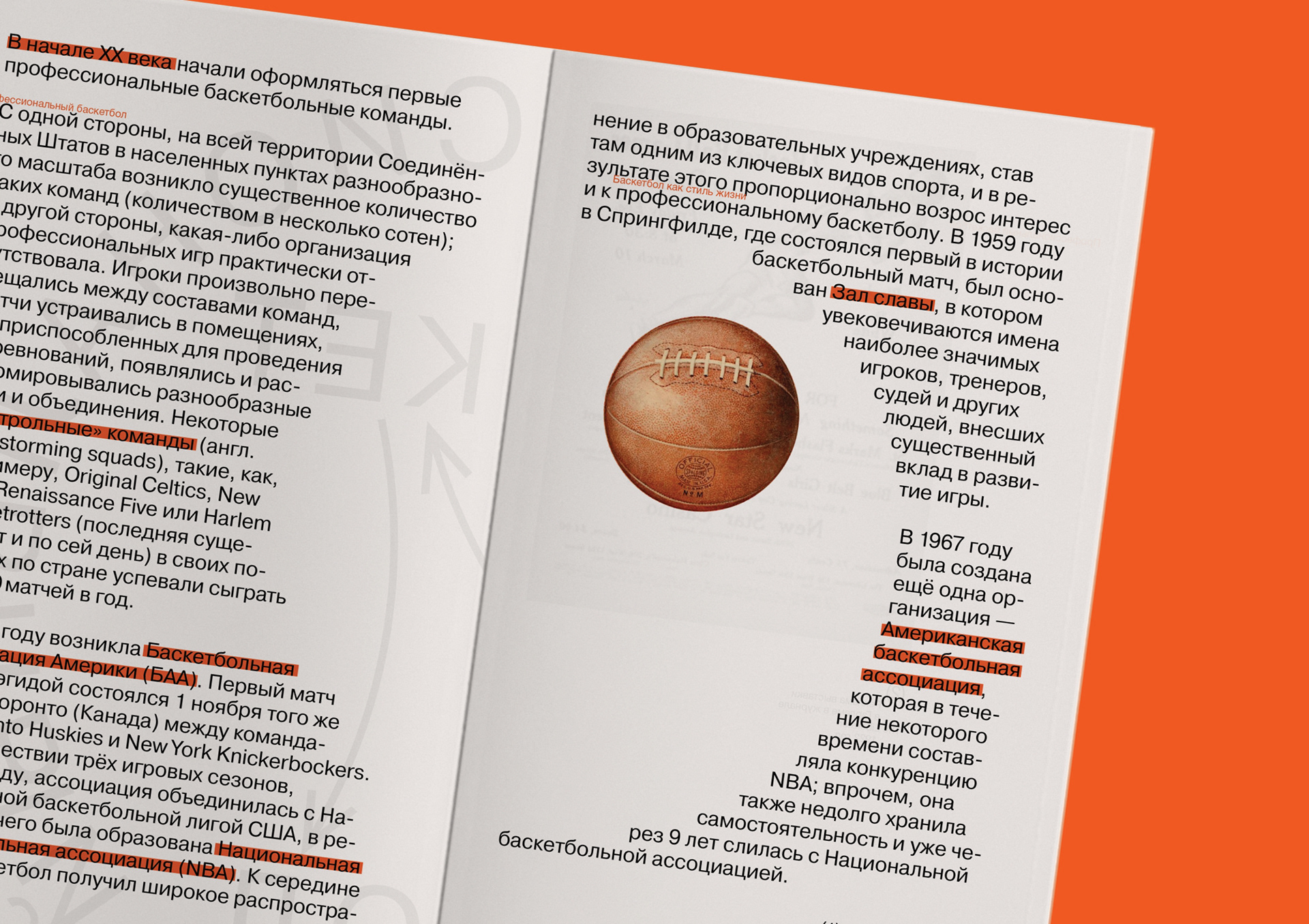 basketball: product catalogue — Изображение №5 — Графика на Dprofile