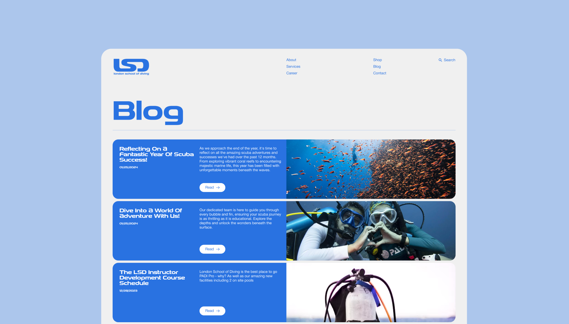 London School Of Diving |Redesign — Изображение №13 — Интерфейсы, Анимация на Dprofile