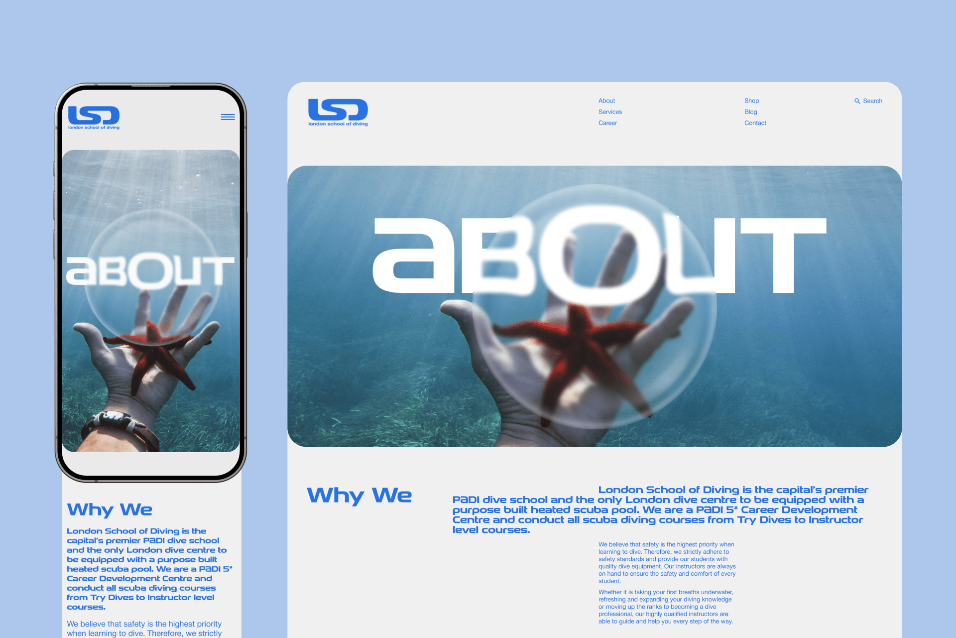 London School Of Diving |Redesign — Изображение №10 — Интерфейсы, Анимация на Dprofile