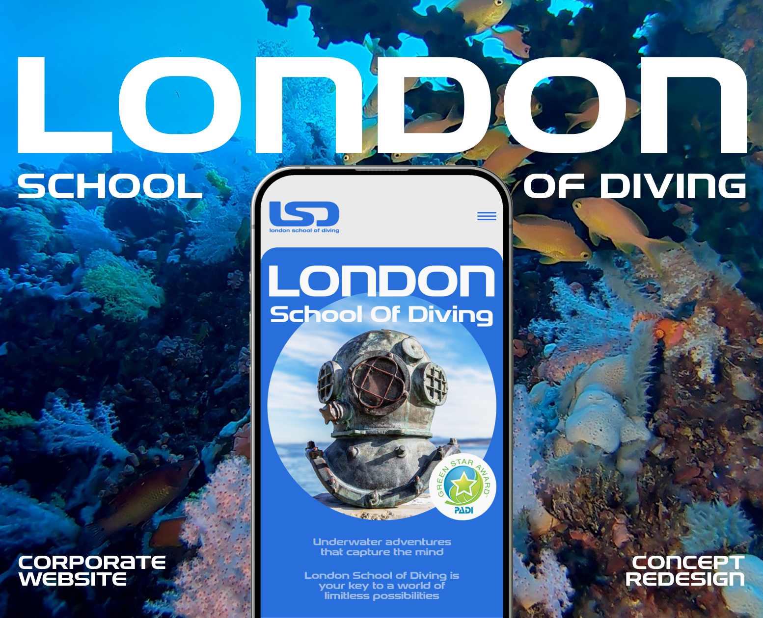 London School Of Diving |Redesign — Интерфейсы, Анимация на Dprofile