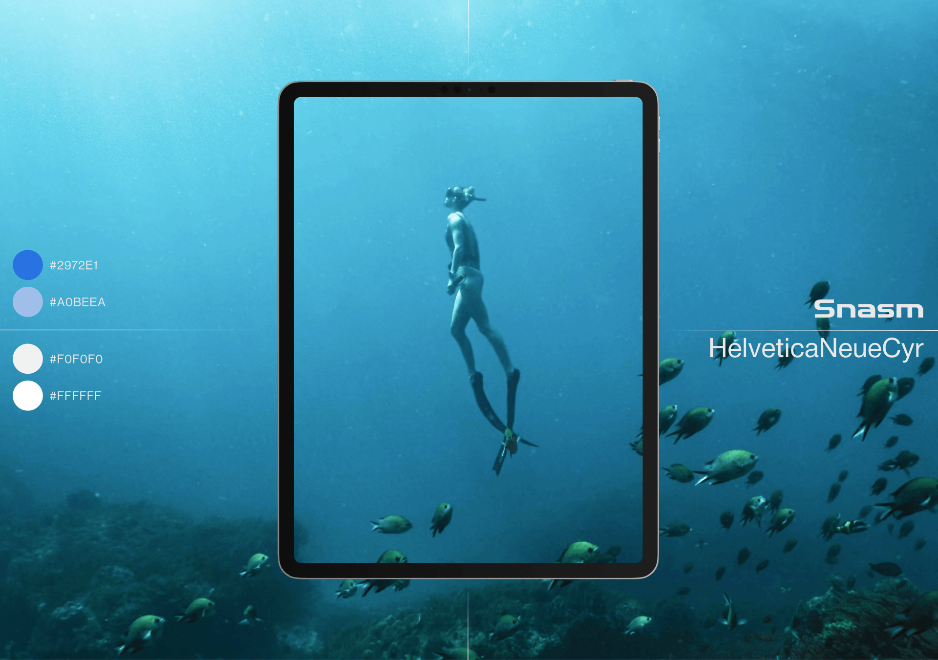 London School Of Diving |Redesign — Изображение №12 — Интерфейсы, Анимация на Dprofile