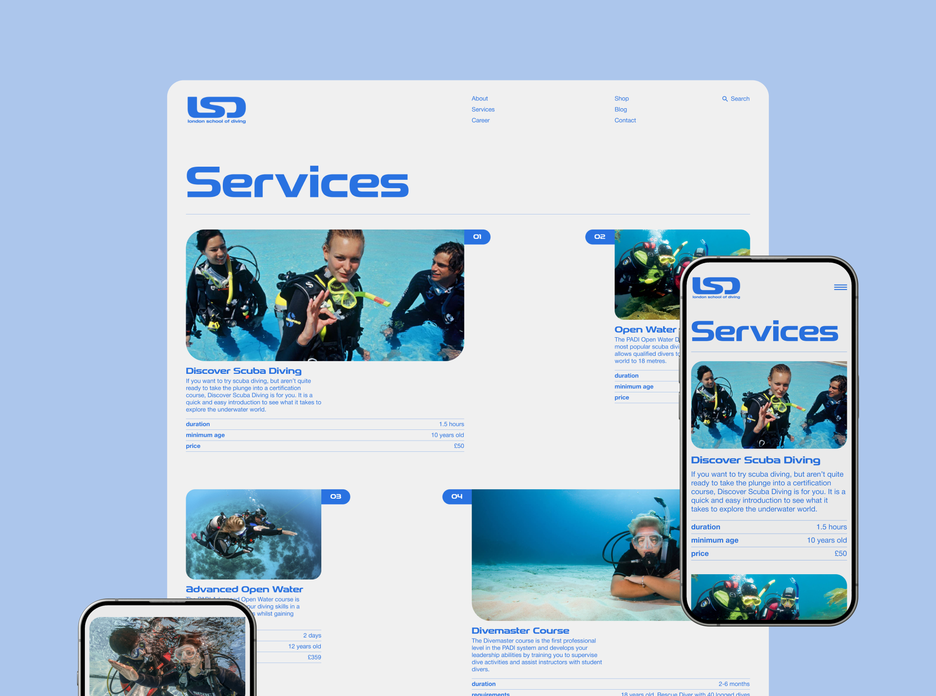 London School Of Diving |Redesign — Изображение №4 — Интерфейсы, Анимация на Dprofile